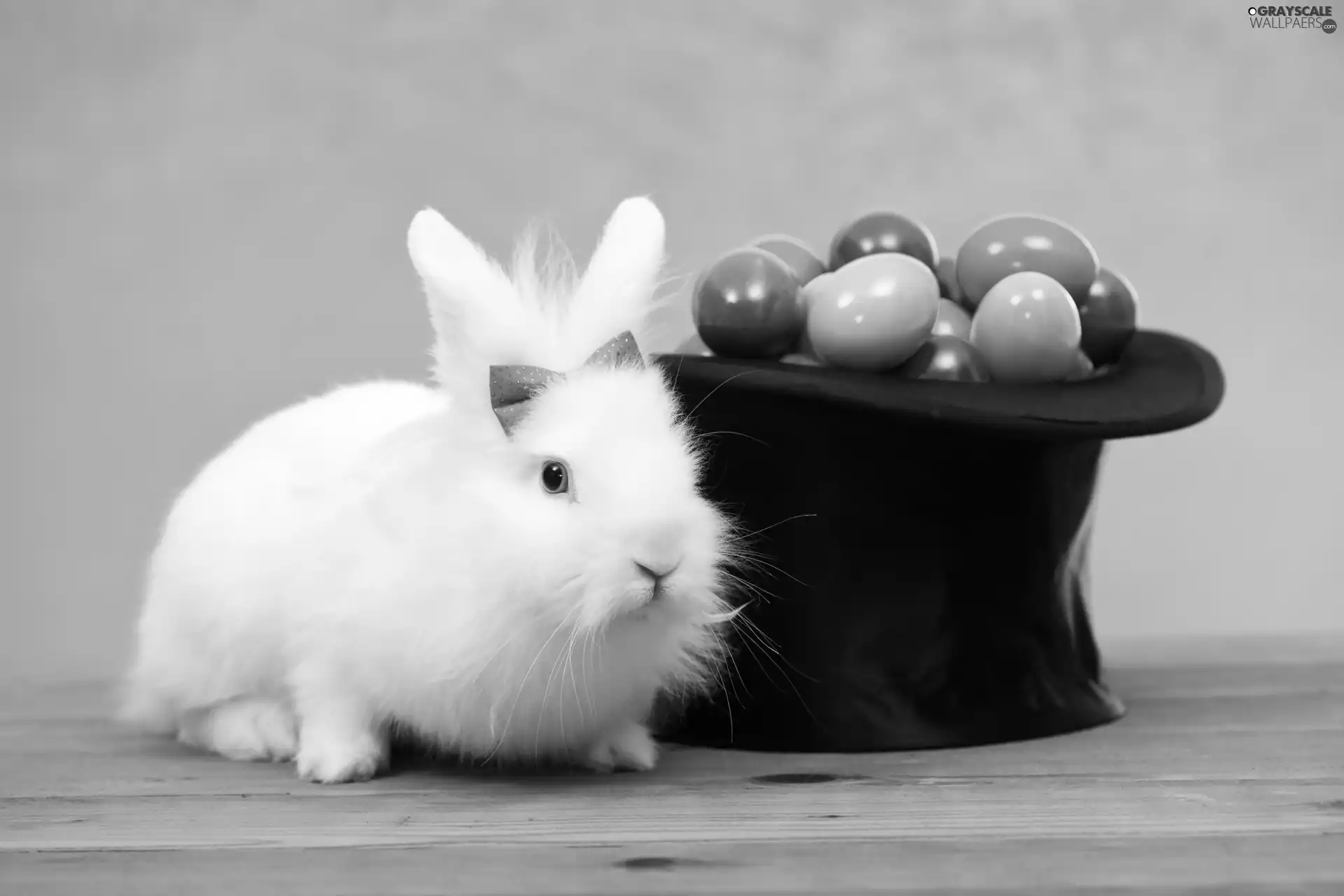 Rabbit, Easter, eggs, Hat