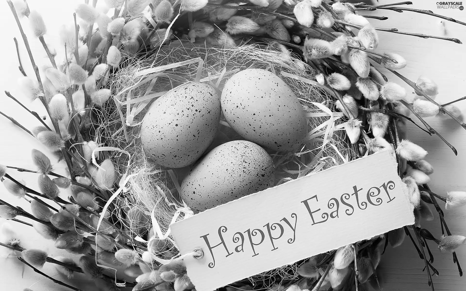 nest, Easter, eggs, text, database, decoration