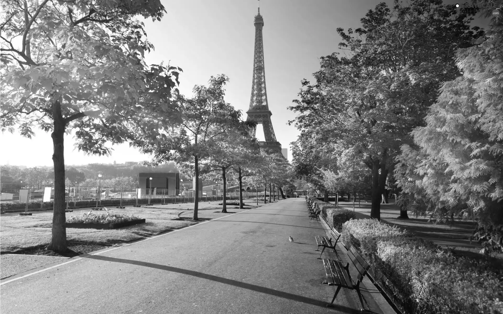 Eiffla Tower, alley, autumn, bench, Park, Paris, France