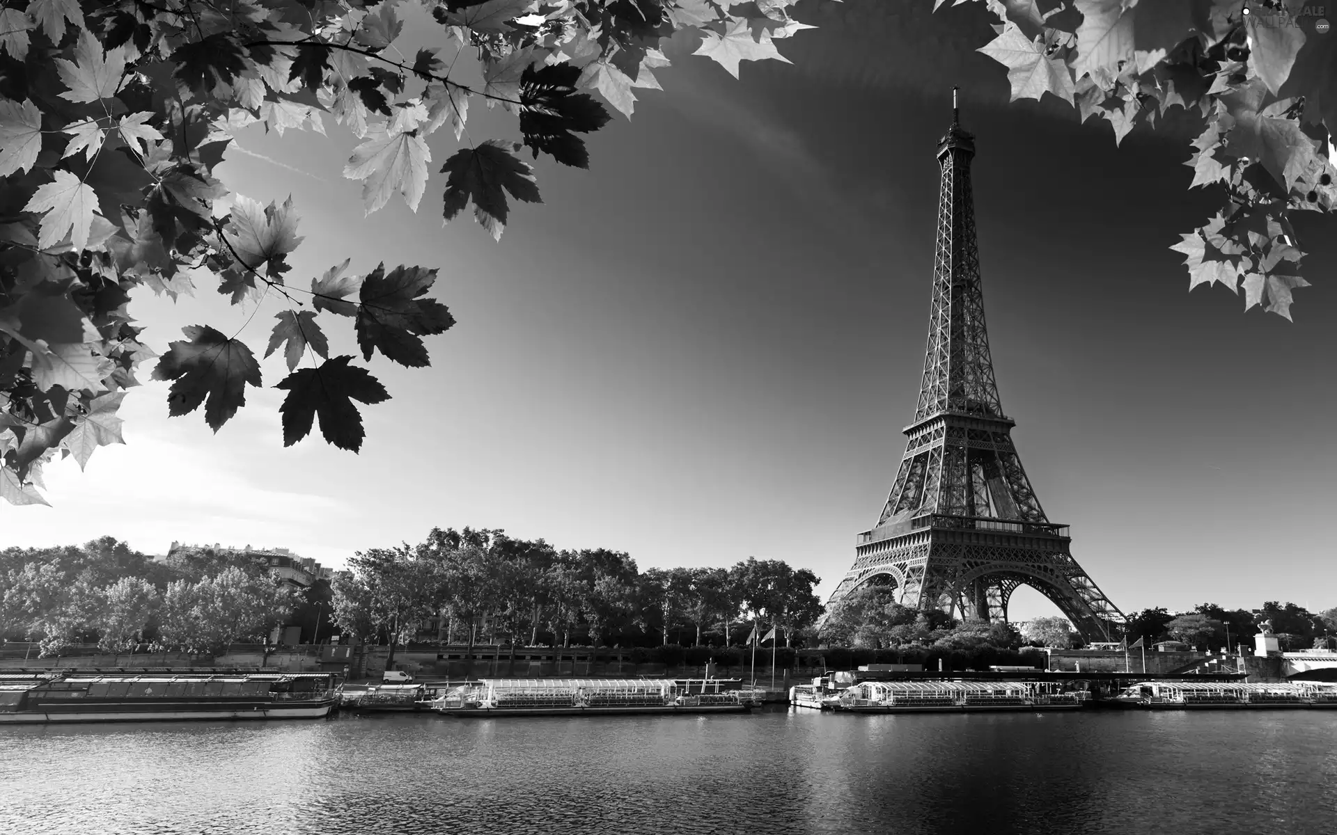 France, Eiffla Tower, Paris
