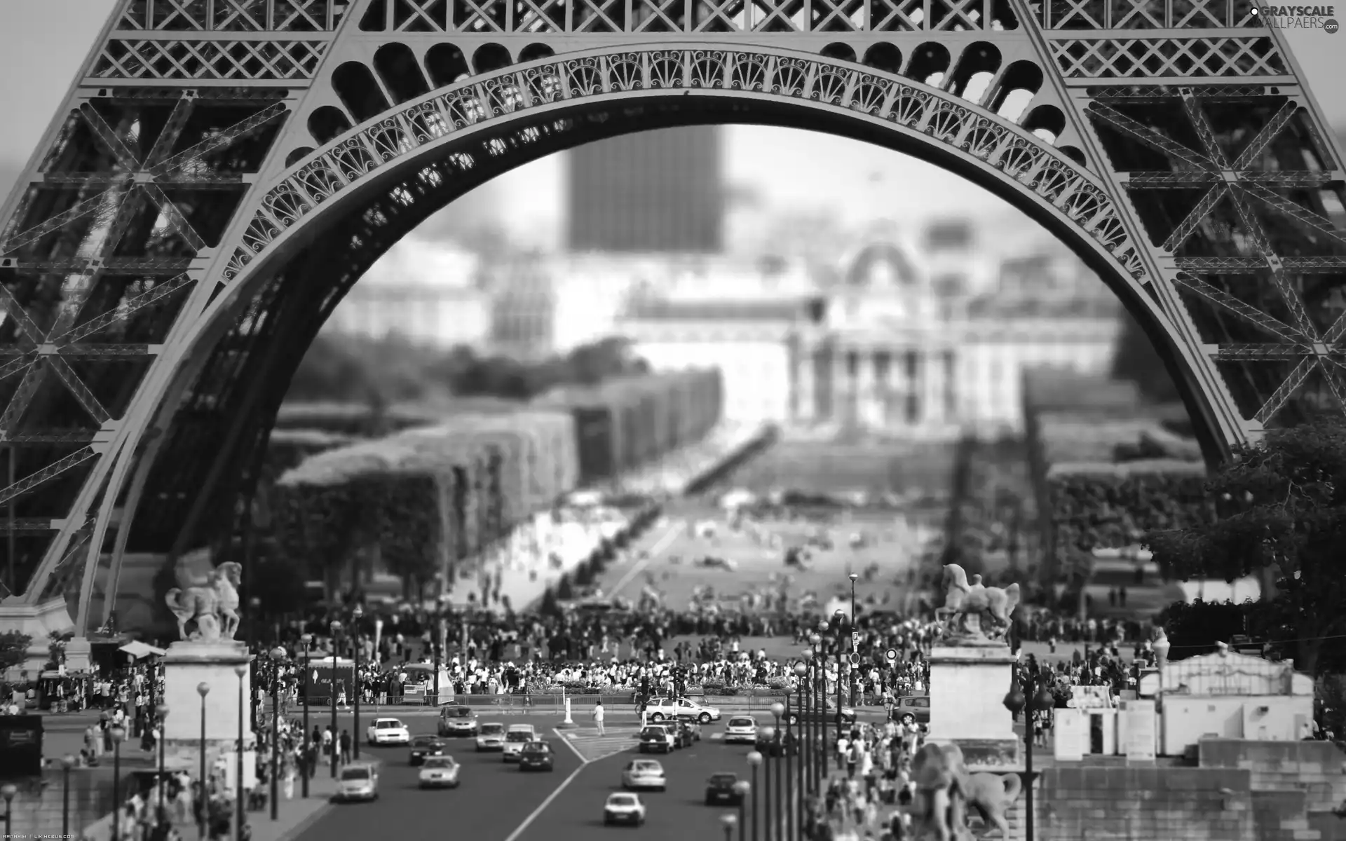 Tourists, Paris, Eiffla Tower