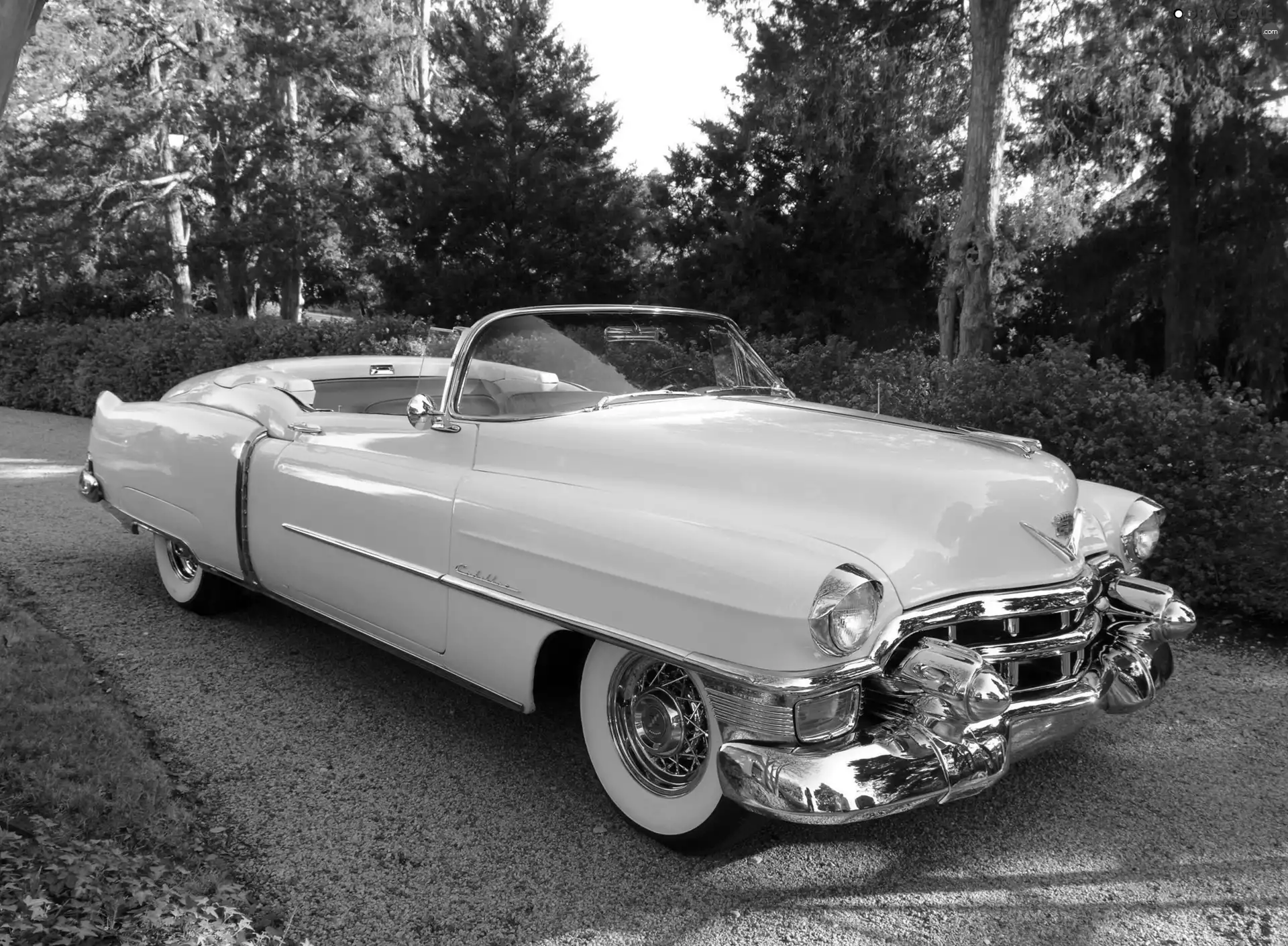 The historic car, Cabriolet, Cadillac Eldorado, White