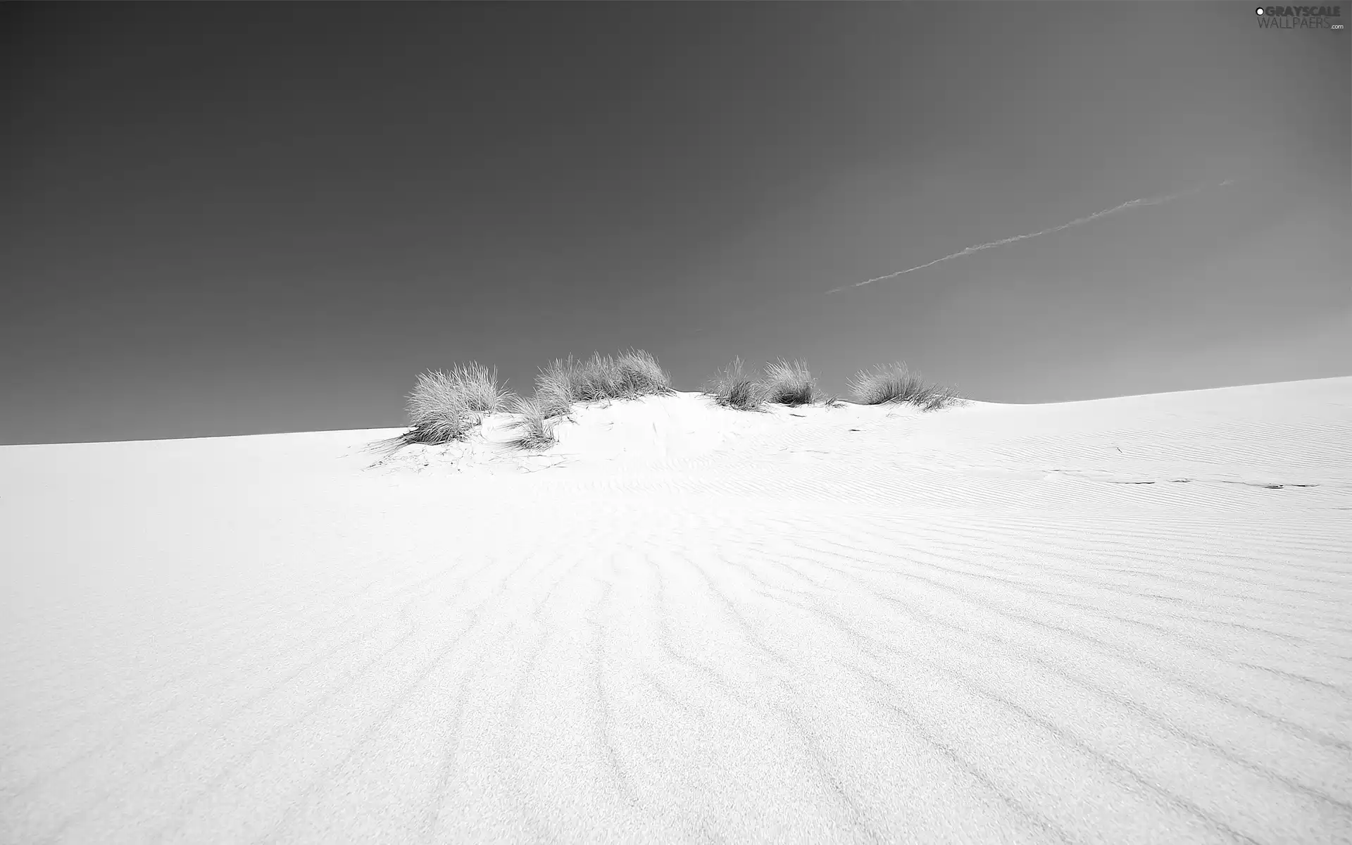 Desert, Bushes, embers, Sand