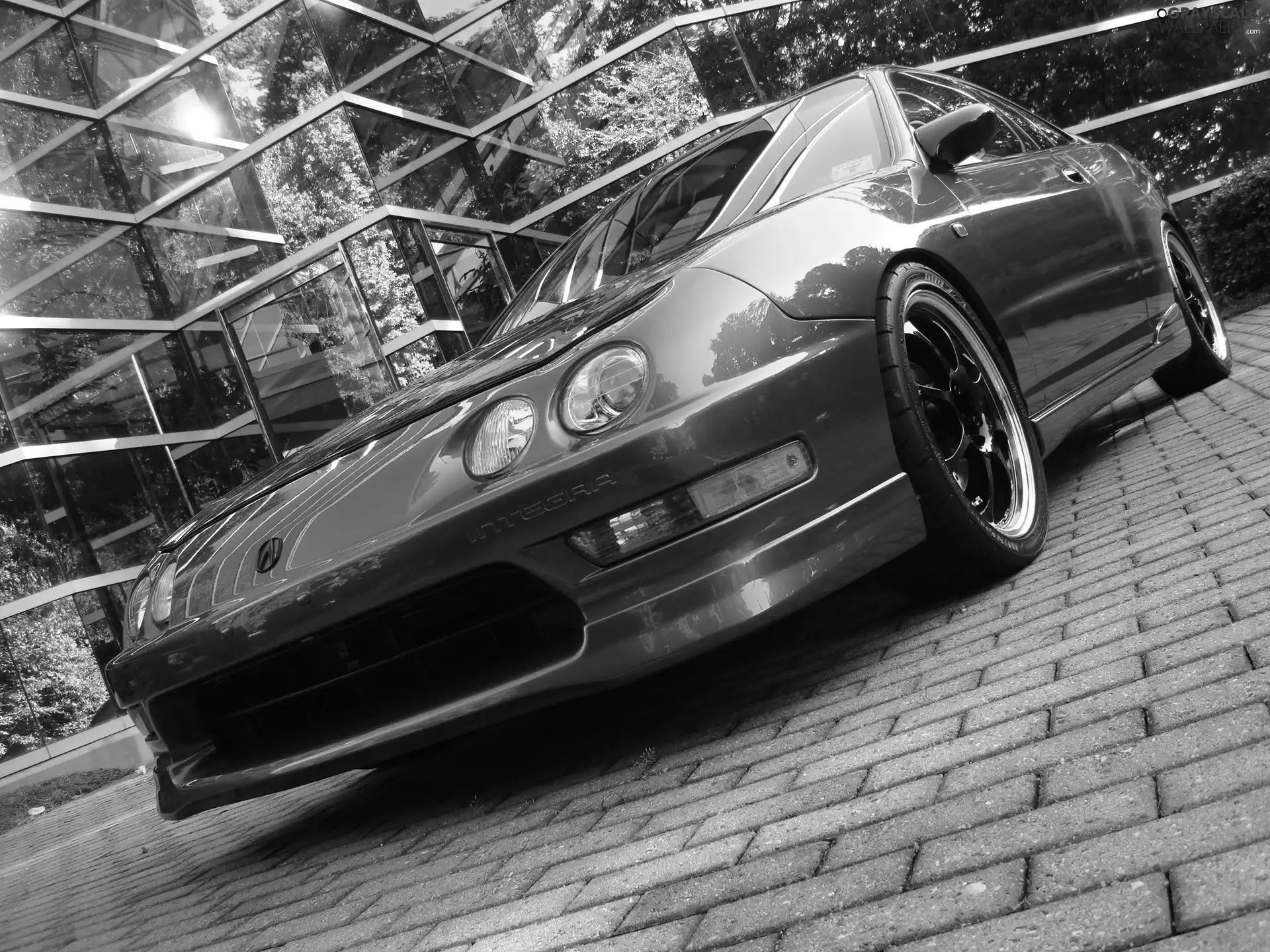 bumper, Acura Integra, emblem