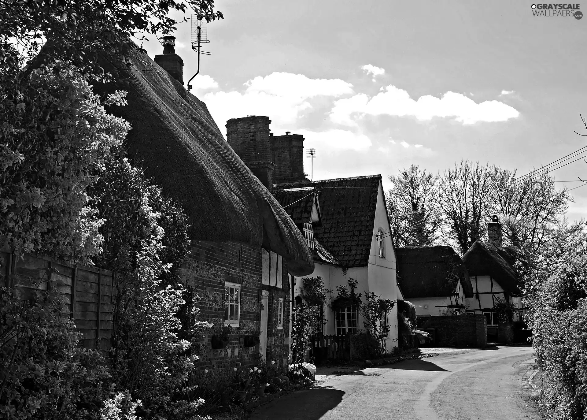 Houses, Nether Wallop Village, England, Way