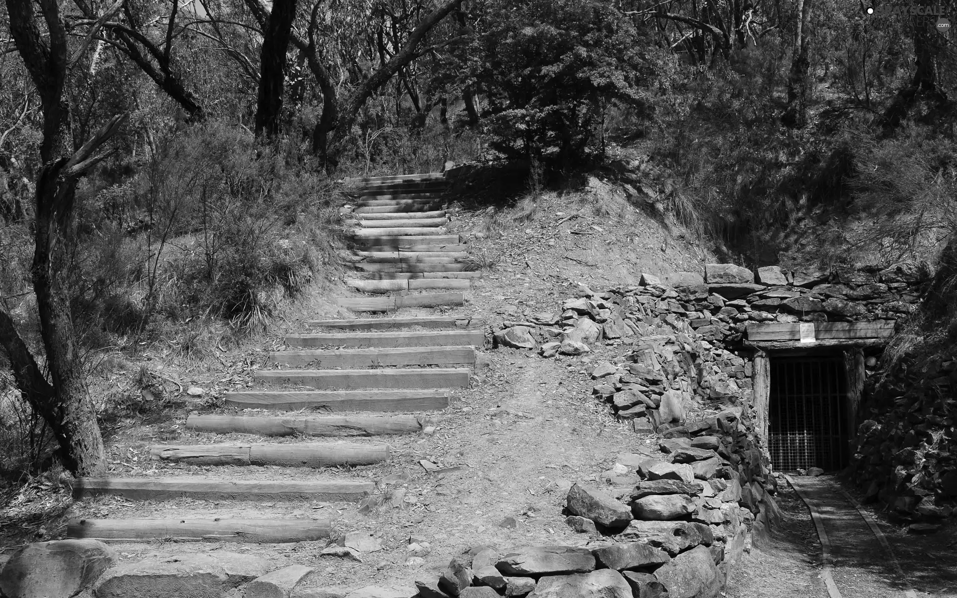viewes, Stairs, Old, trees, Stone, entry, mine