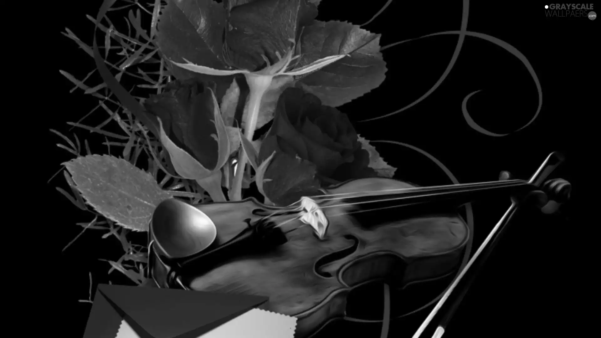 envelope, violin, roses