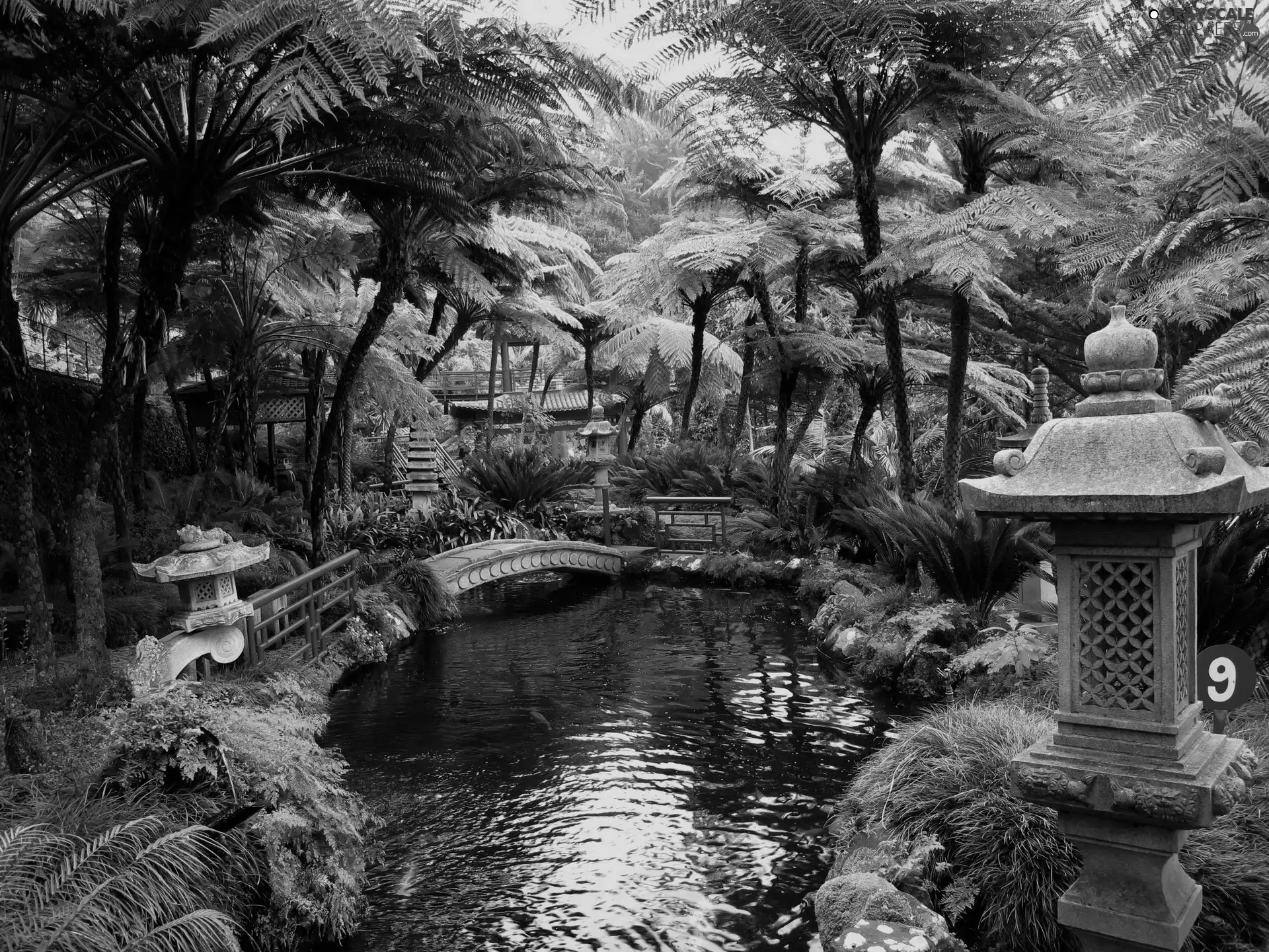 eye, water, bridges, Plants, Garden
