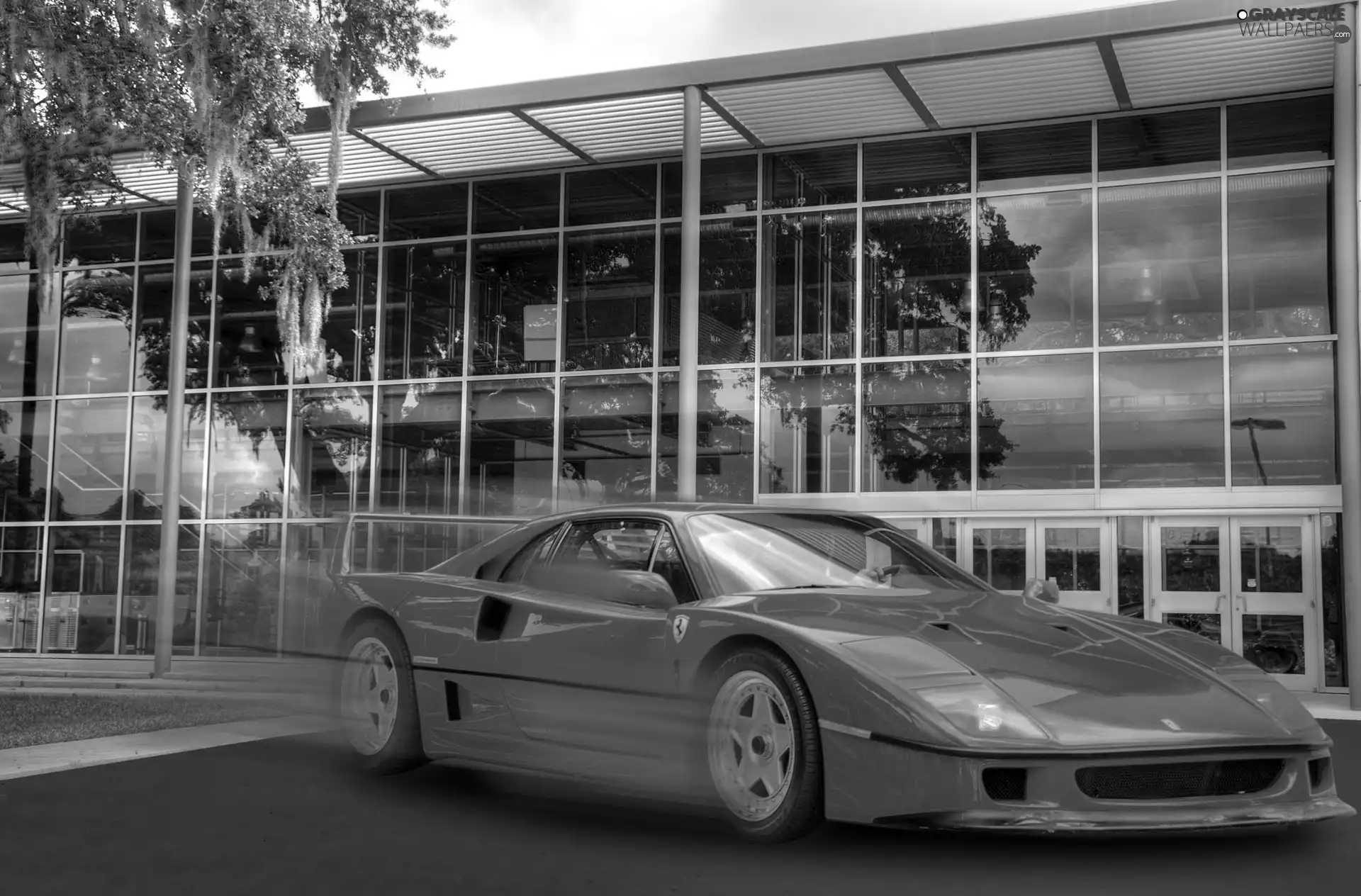 Ferrari F 40