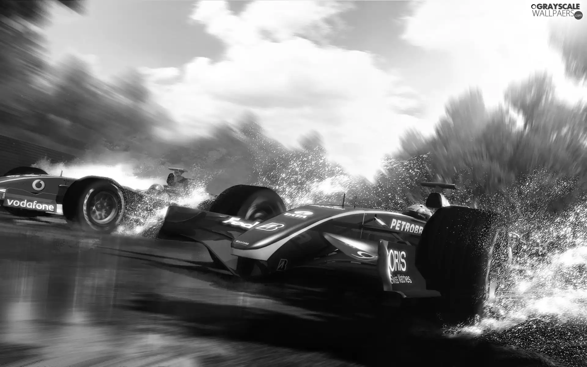 F 1, water
