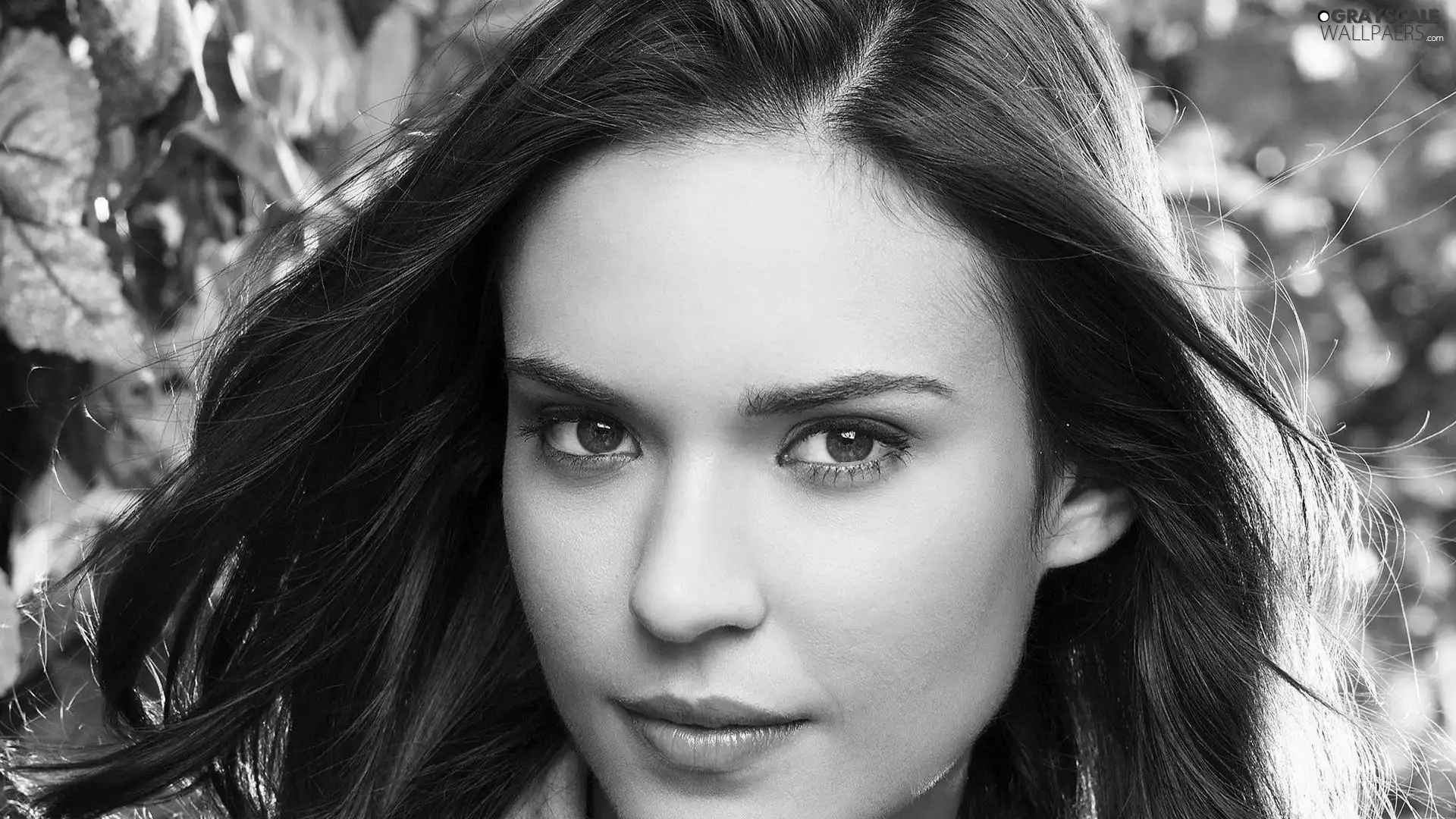 Beauty, face, Odette Annable, Women