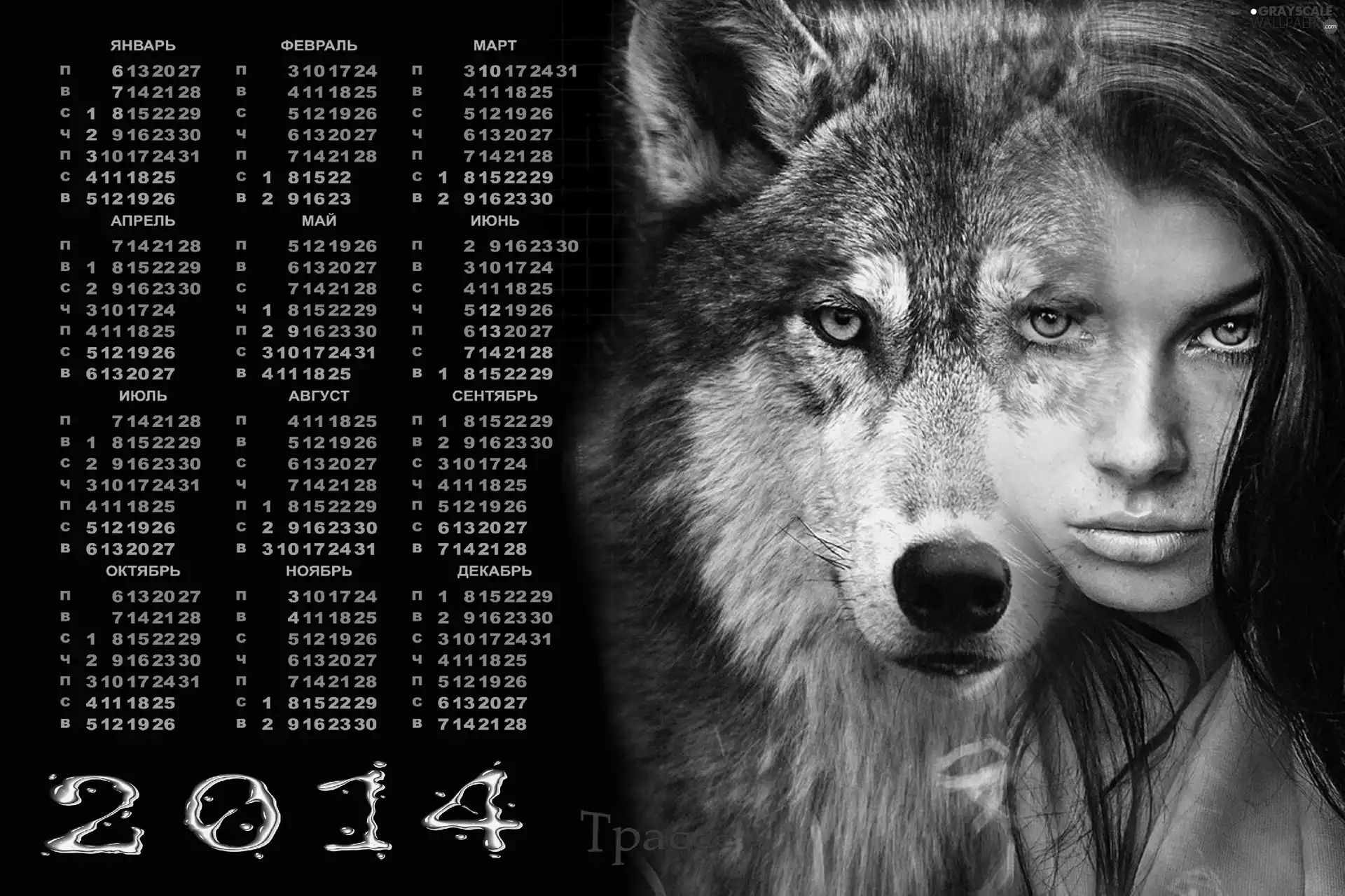 Head, Calendar, face, Womens, dog, 2014