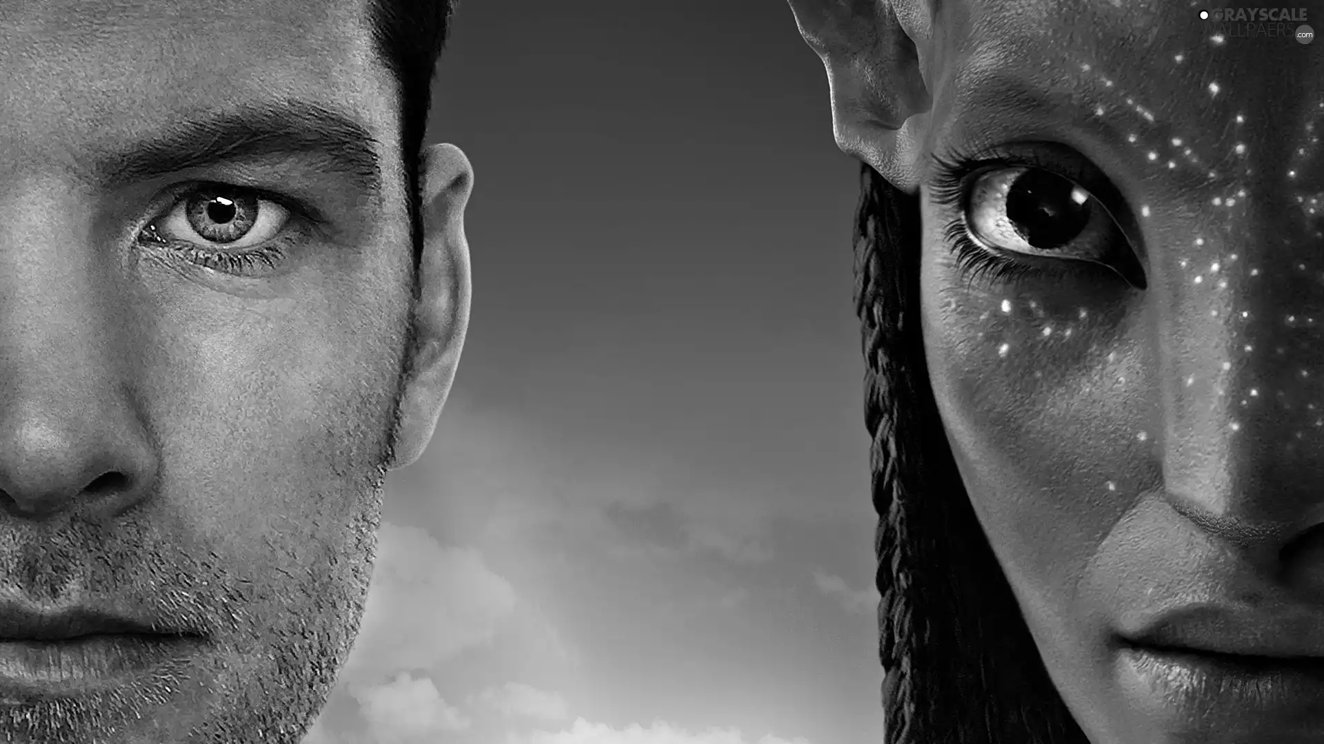 Avatar, faces