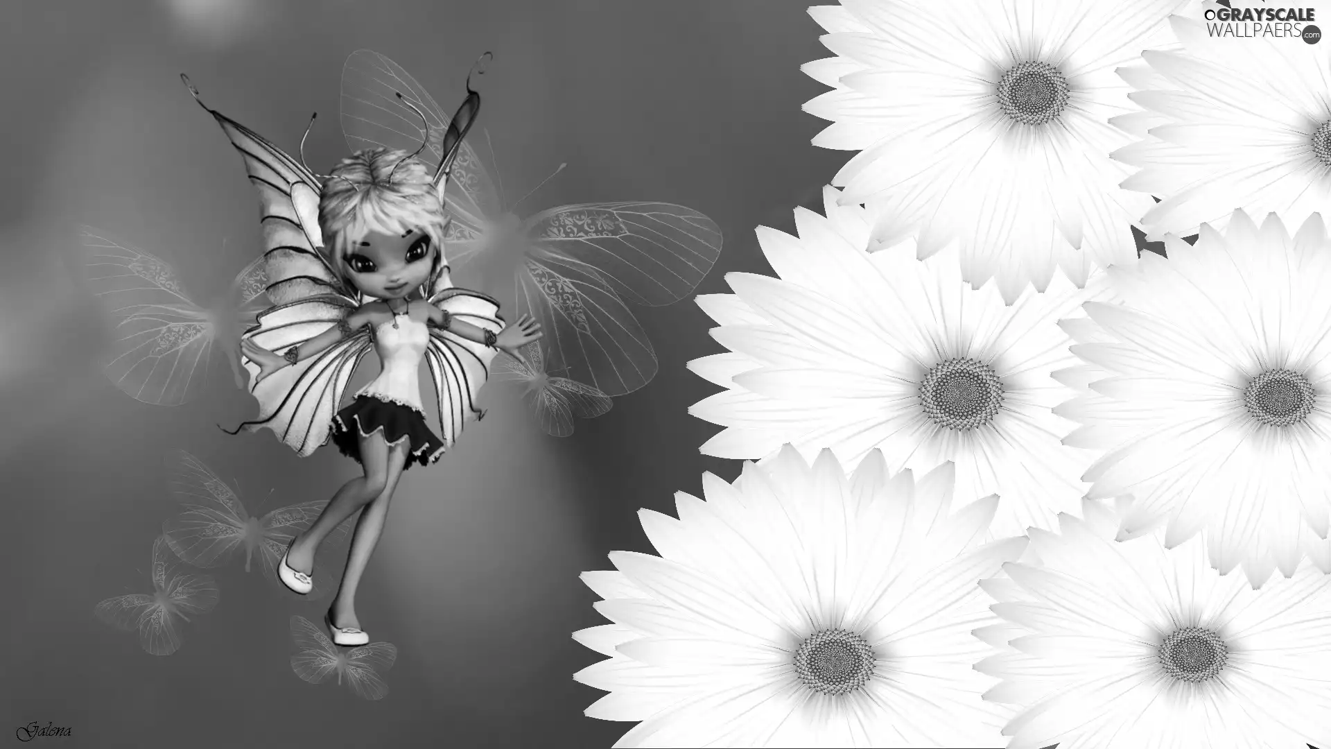 fairy, graphics, Flowers, dolly, White
