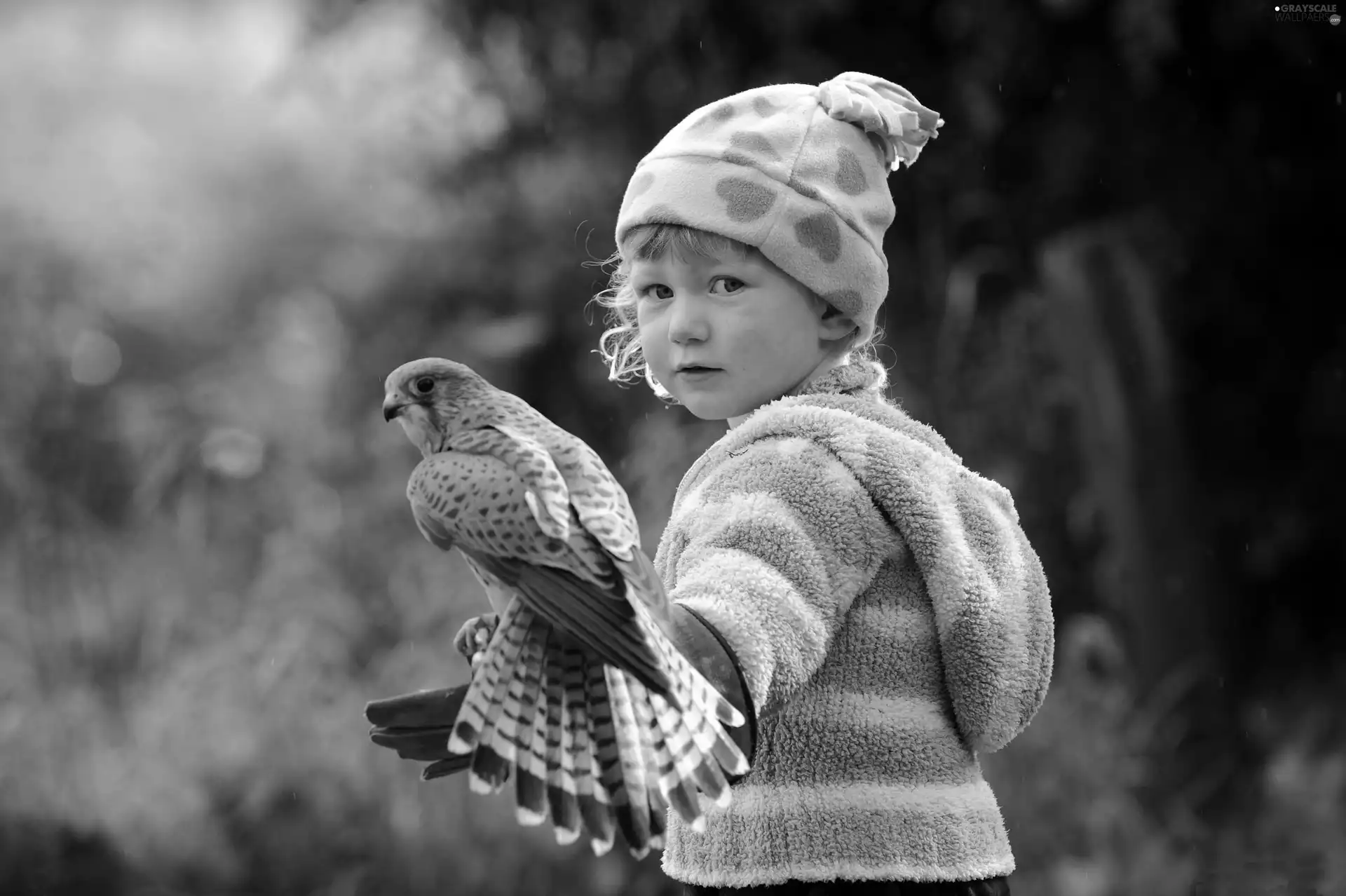 girl, falcon