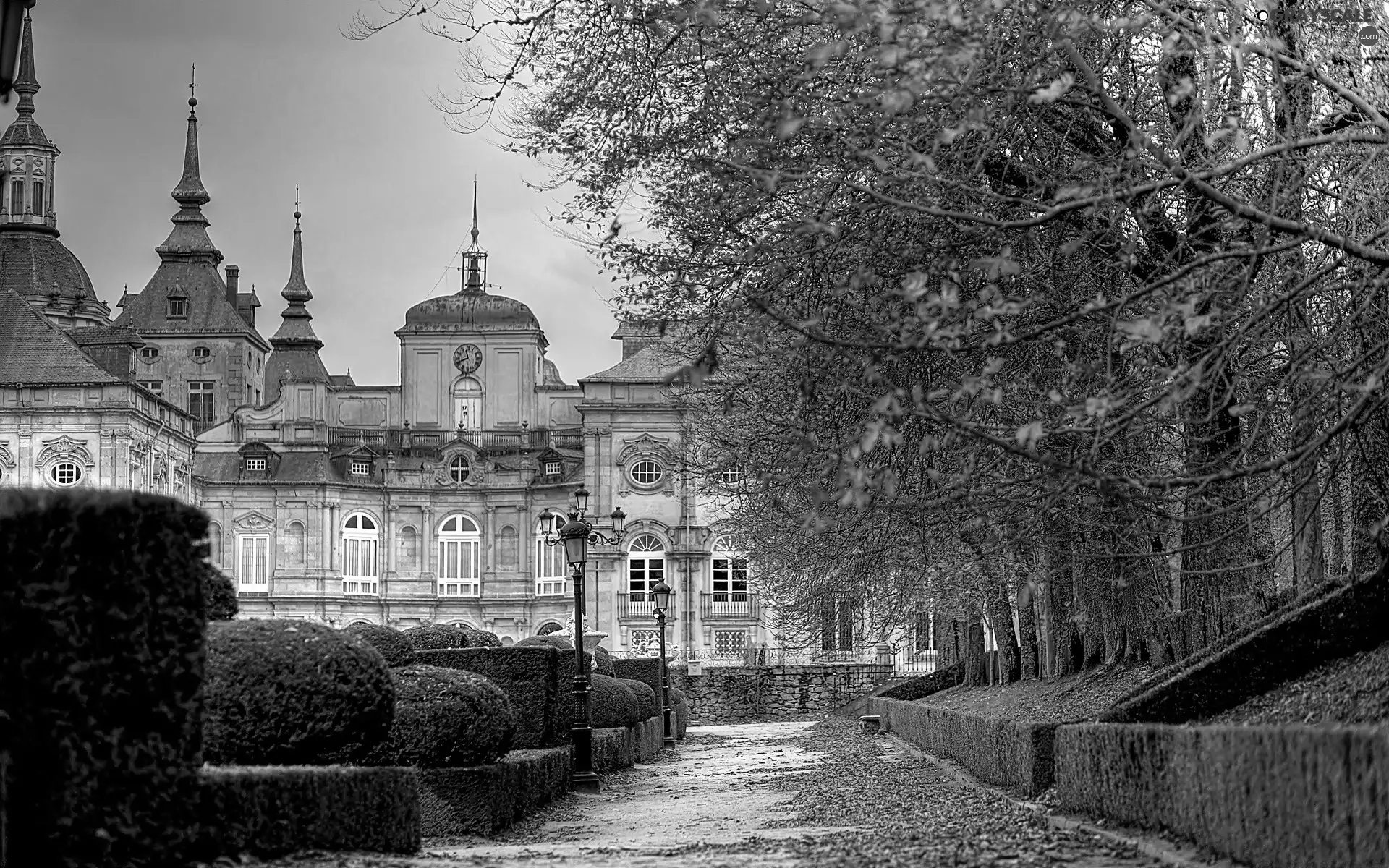 fallen, Leaf, palace, Park, autumn