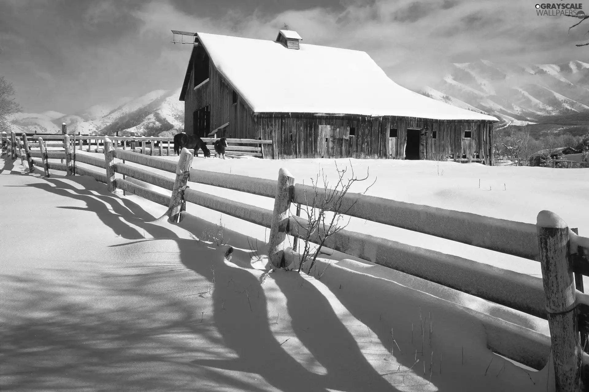 Fance, winter, cote