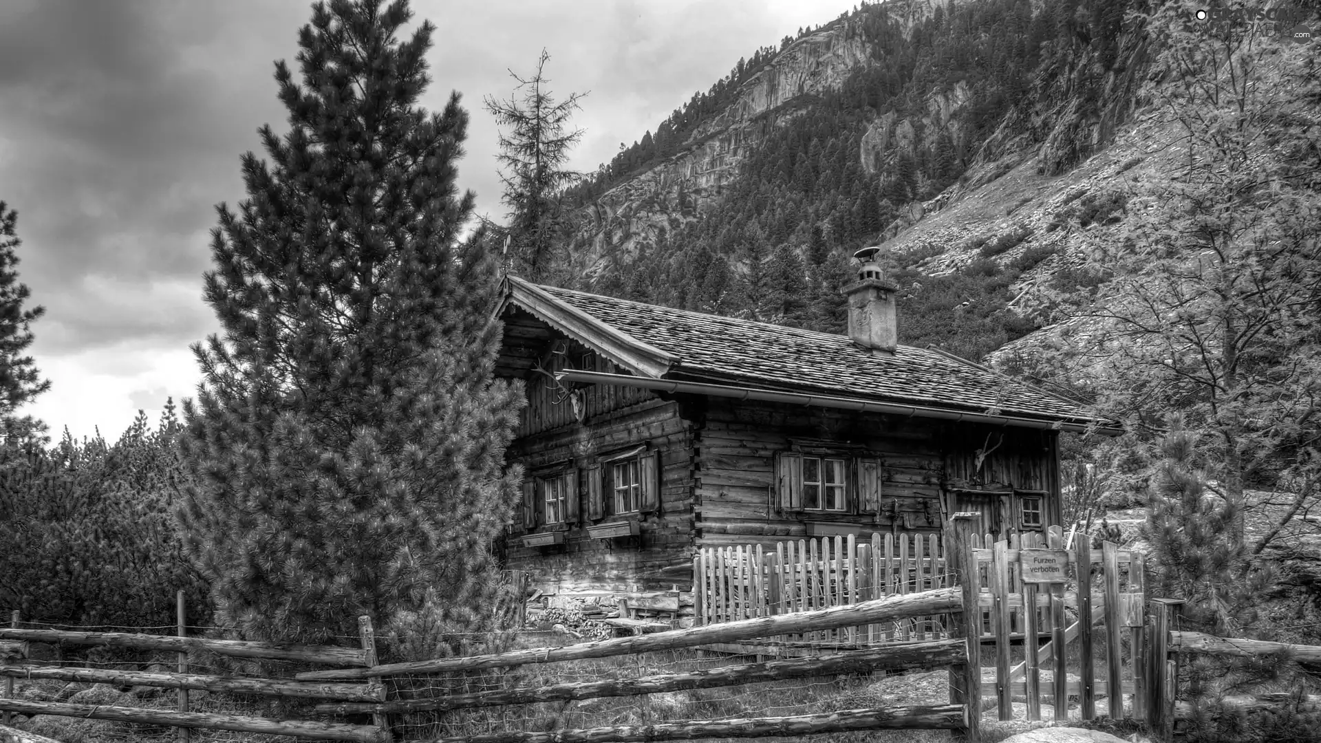 house, forest, Fance, Mountains