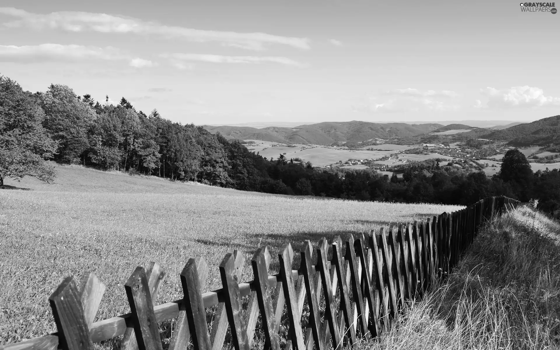 Mountains, Meadow, Fance, forest