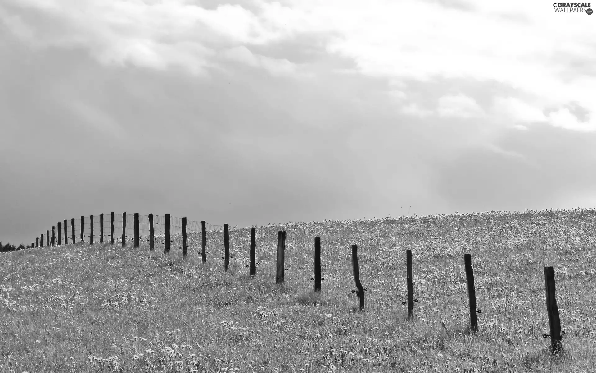 Fance, Field, Sky