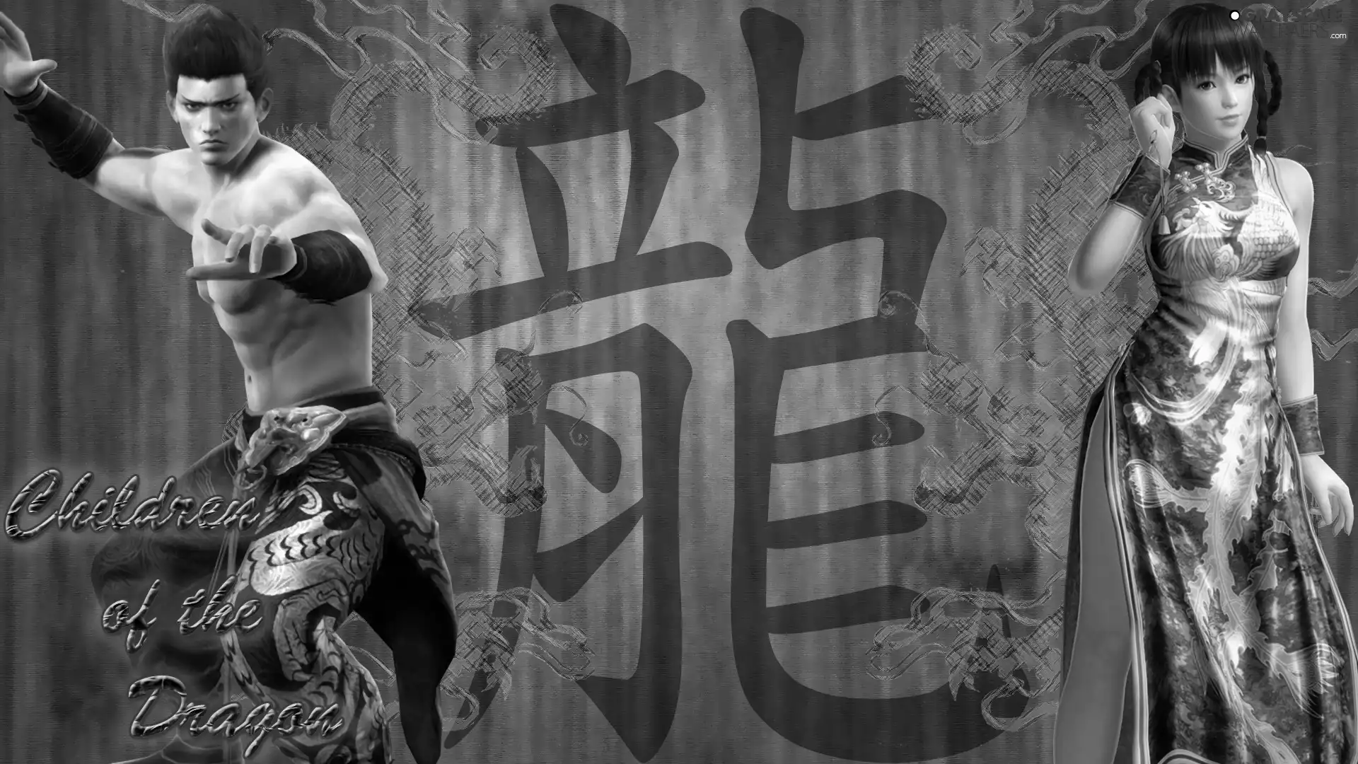 Janny Lee, Dead Or Alive 5, Lei Fang