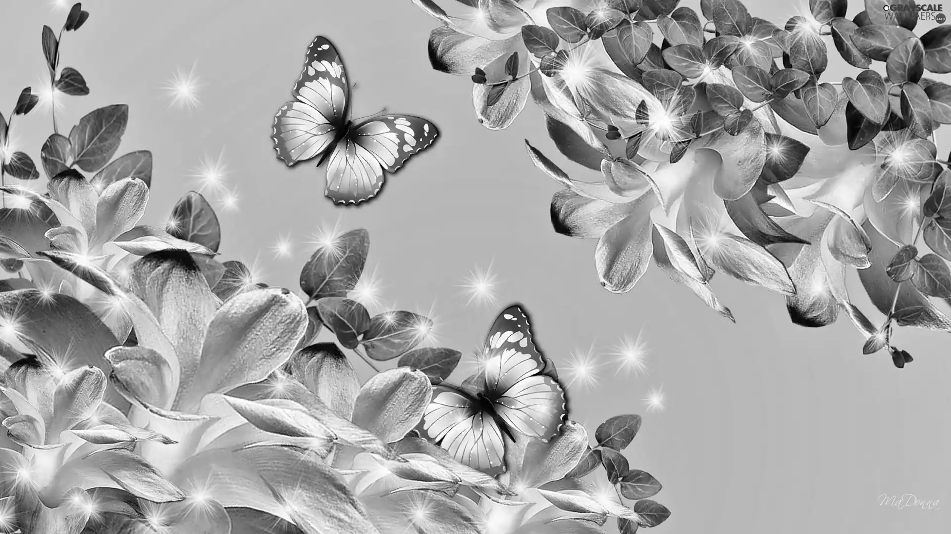 fantasy, Flowers, butterflies