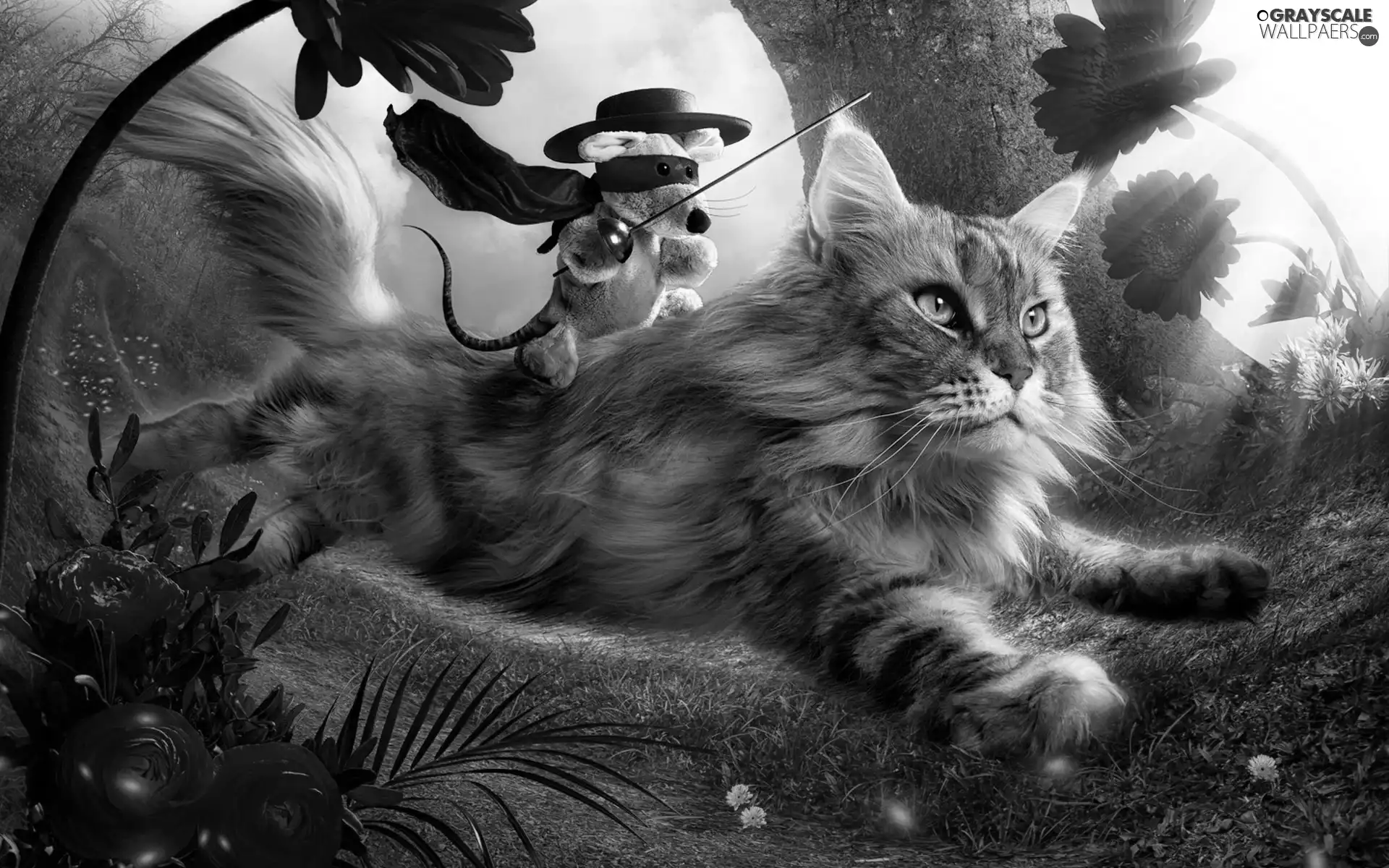 rat, kitten, fantasy, an