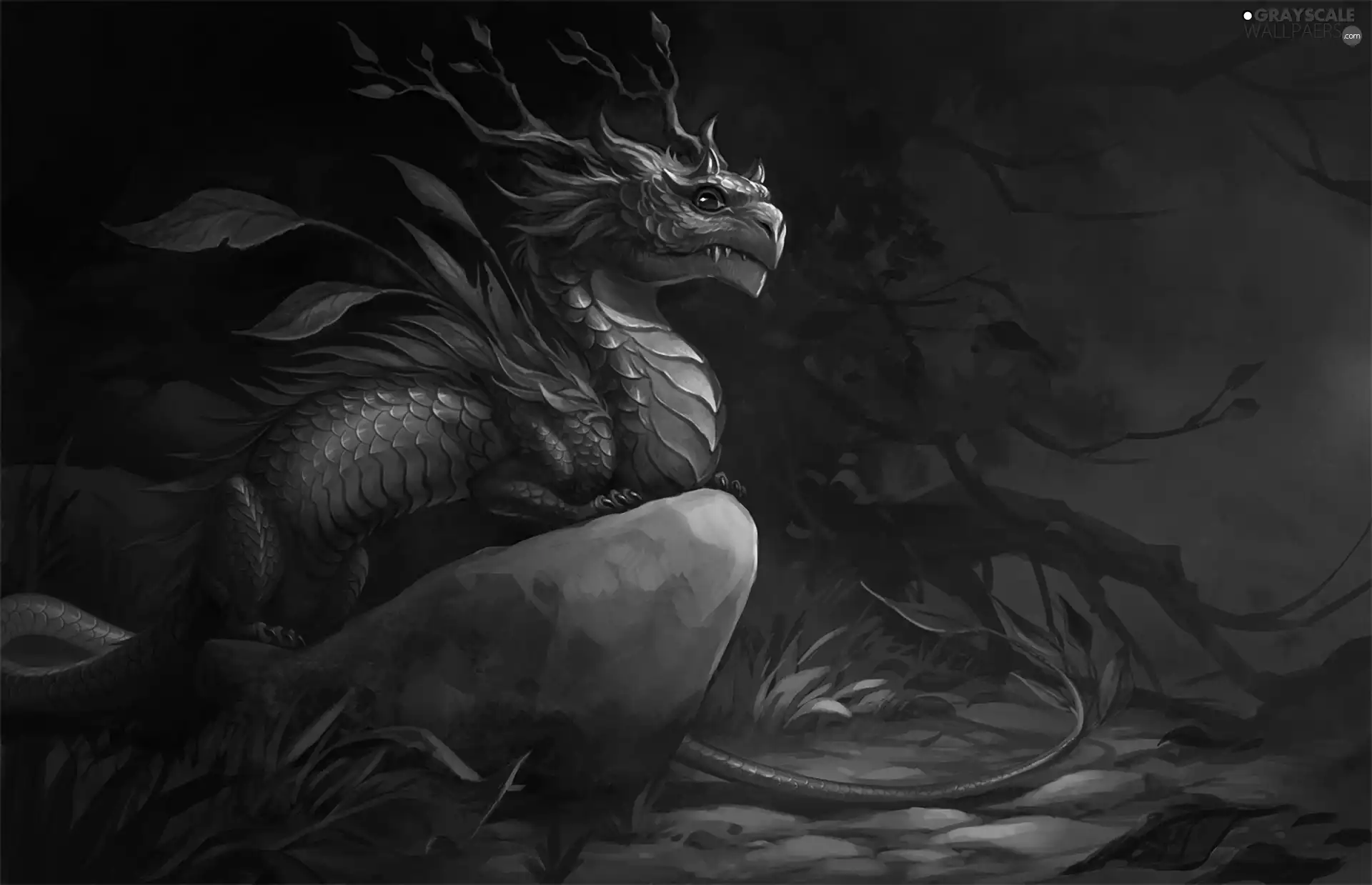 fantasy, Dragon, Rocks