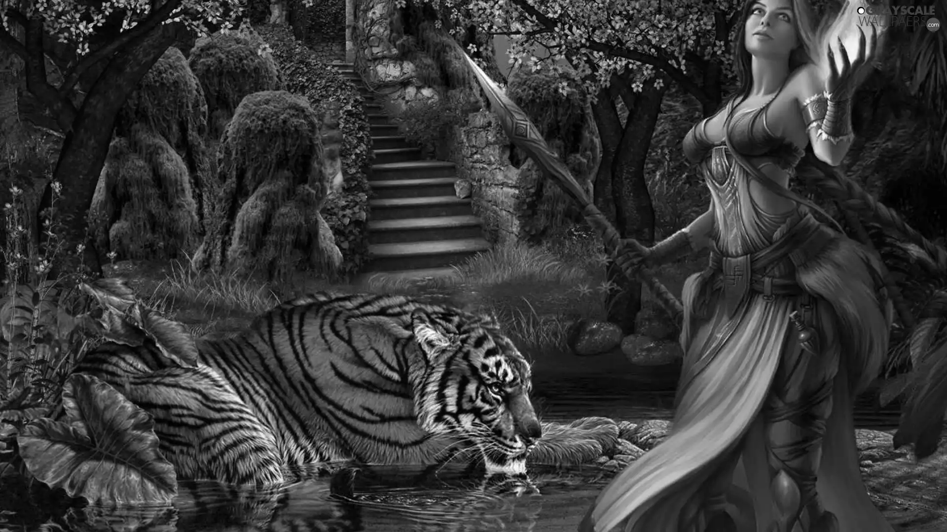 fantasy, Women, tiger