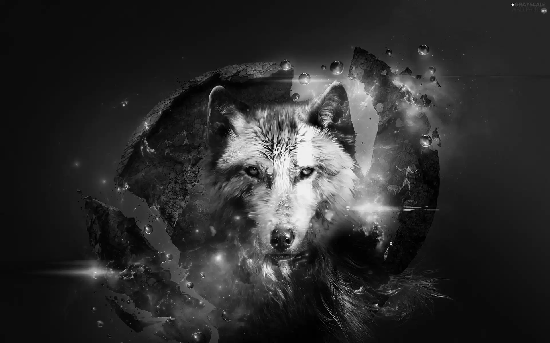 Wolf, fantasy