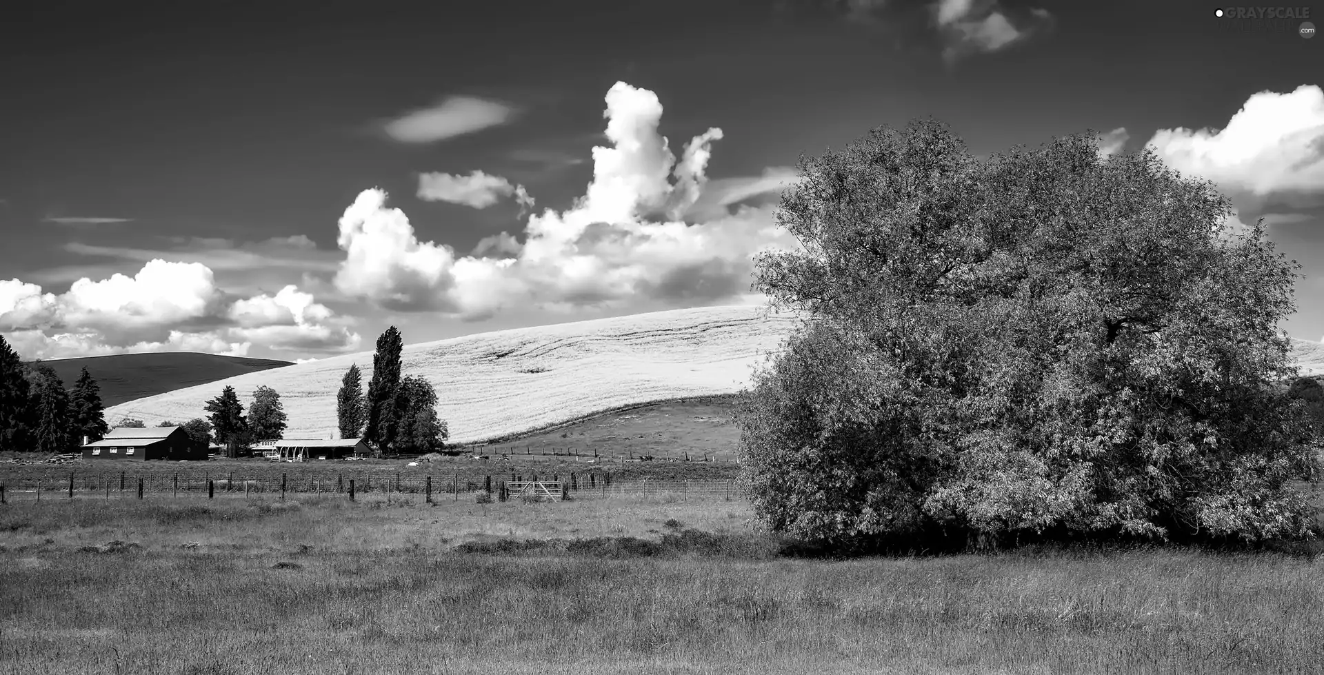 farm, USA, medows, The Hills, field, Idaho