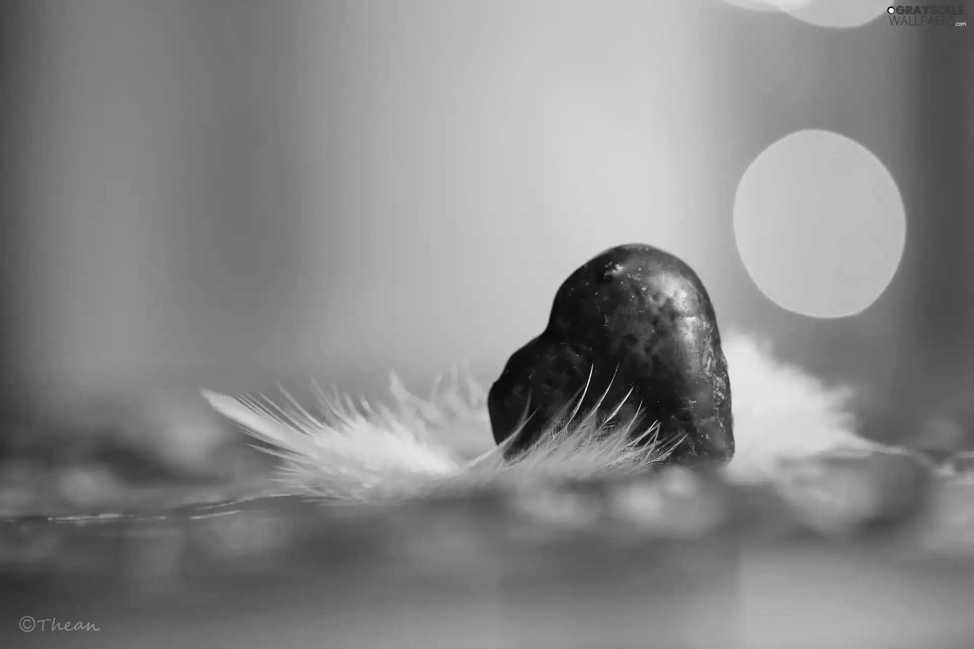 gingerbread, Heart, feather, chocolate