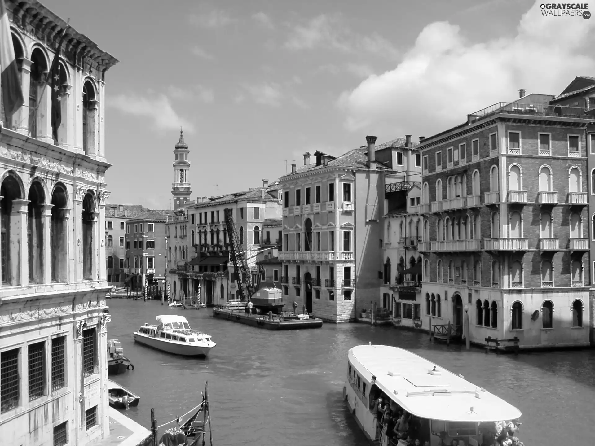 Feeds, Italy, Venice