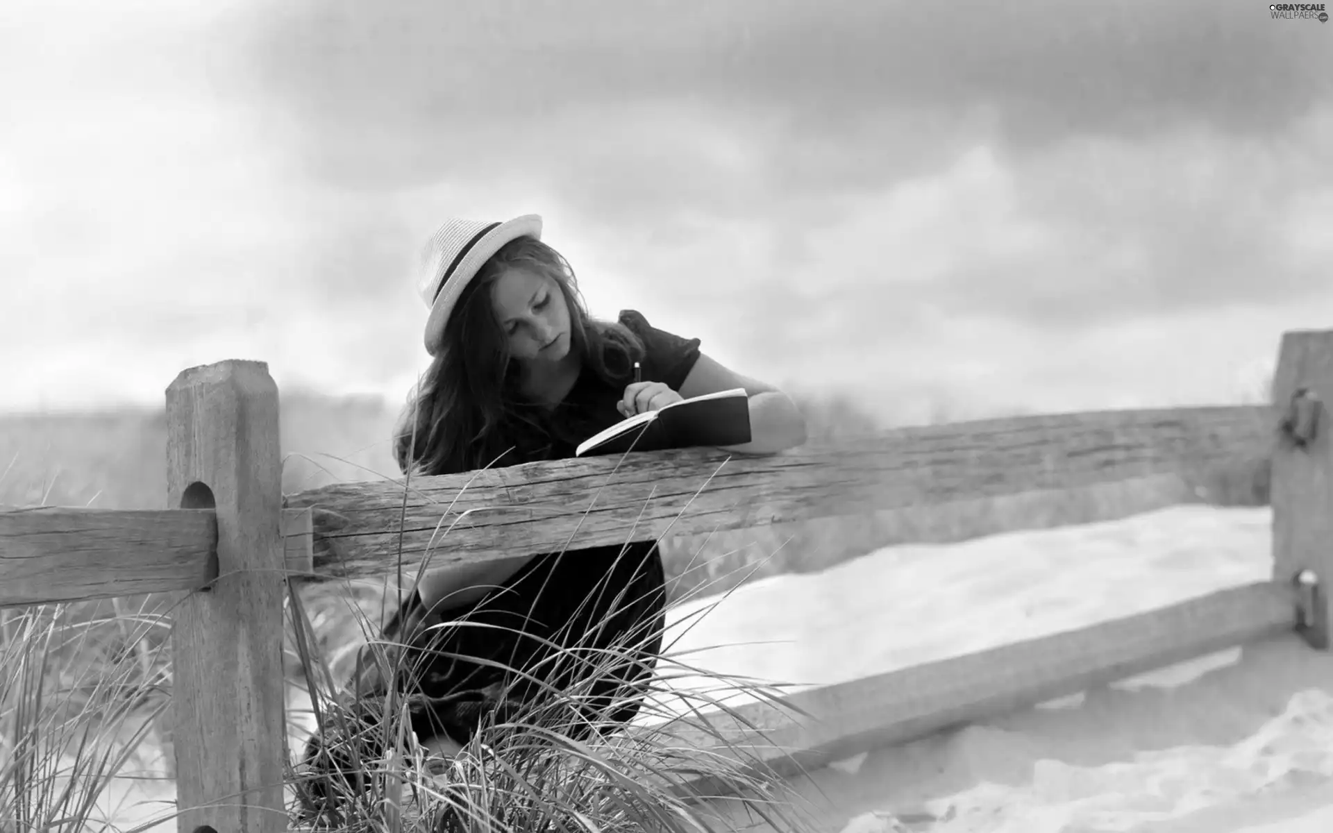 fence, Women, Book