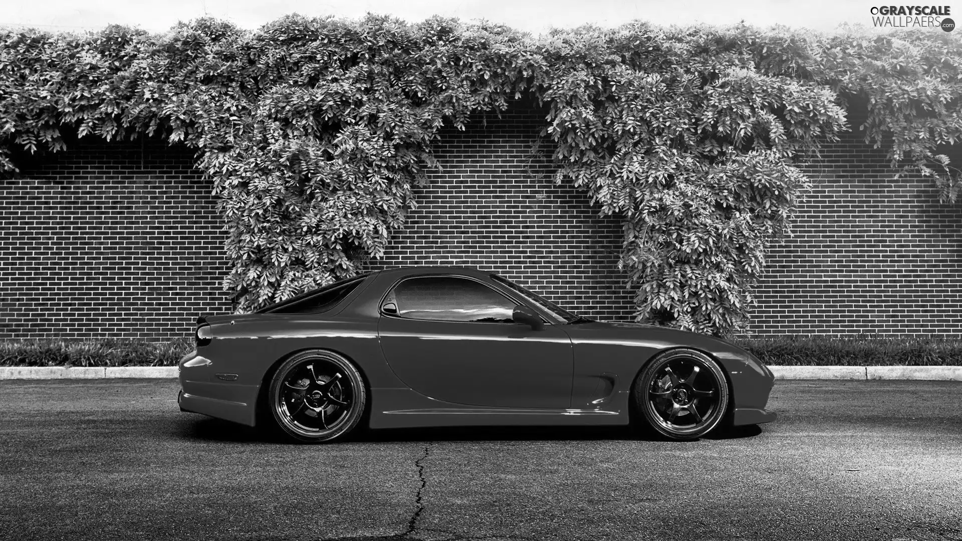 green, Mazda RX7, fence