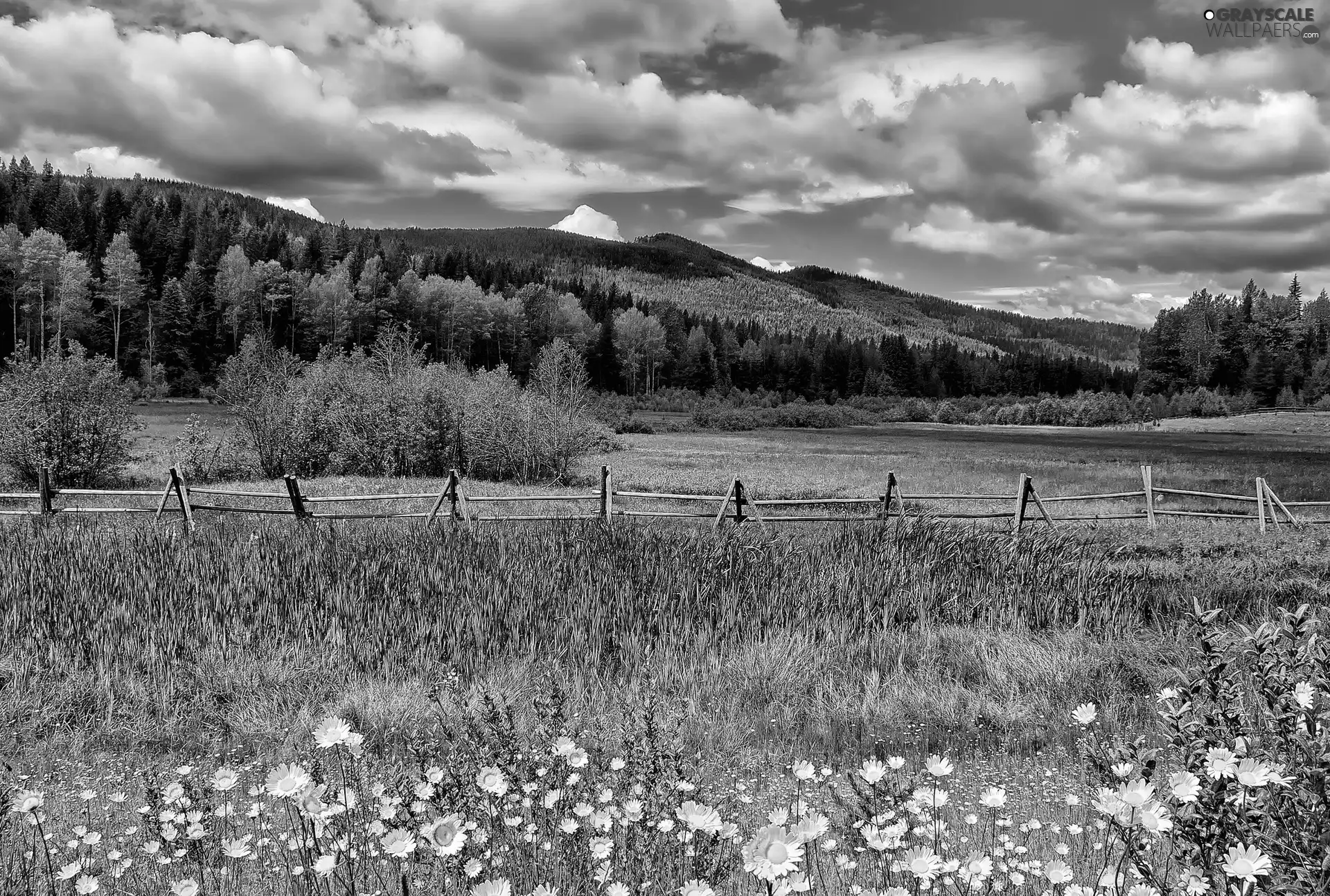 Mountains, Meadow, fence, clouds