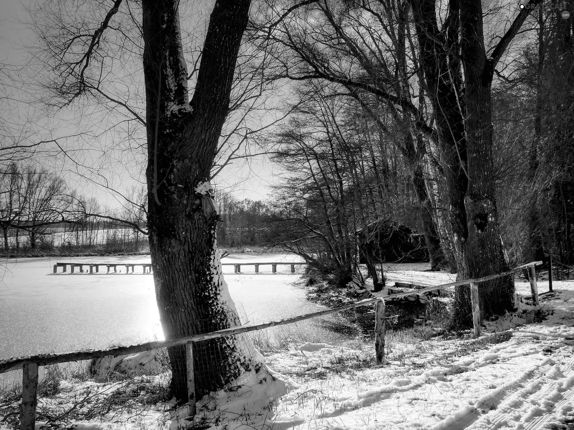 Platform, winter, viewes, fence, trees, Pond - car