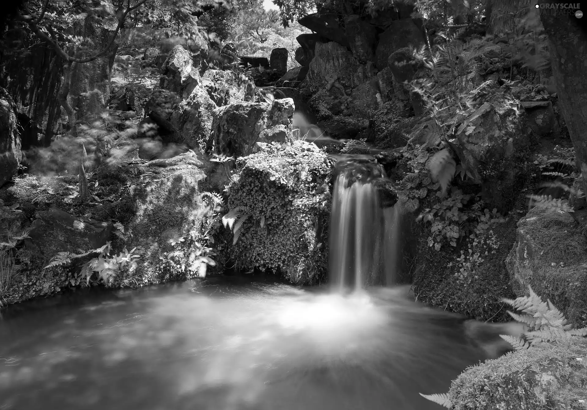 forest, boulders, fern, waterfall