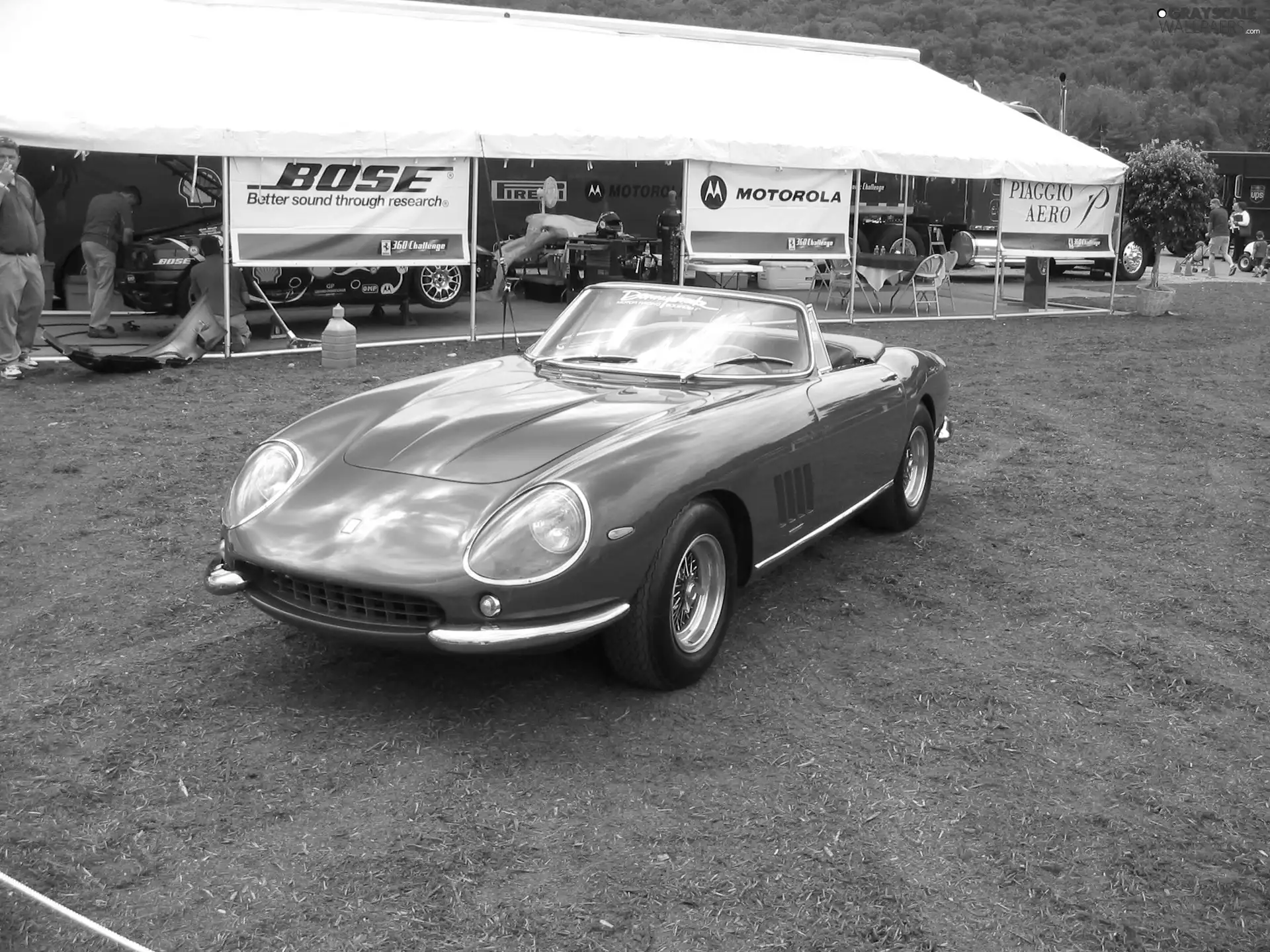 Ferrari 275, manufactory