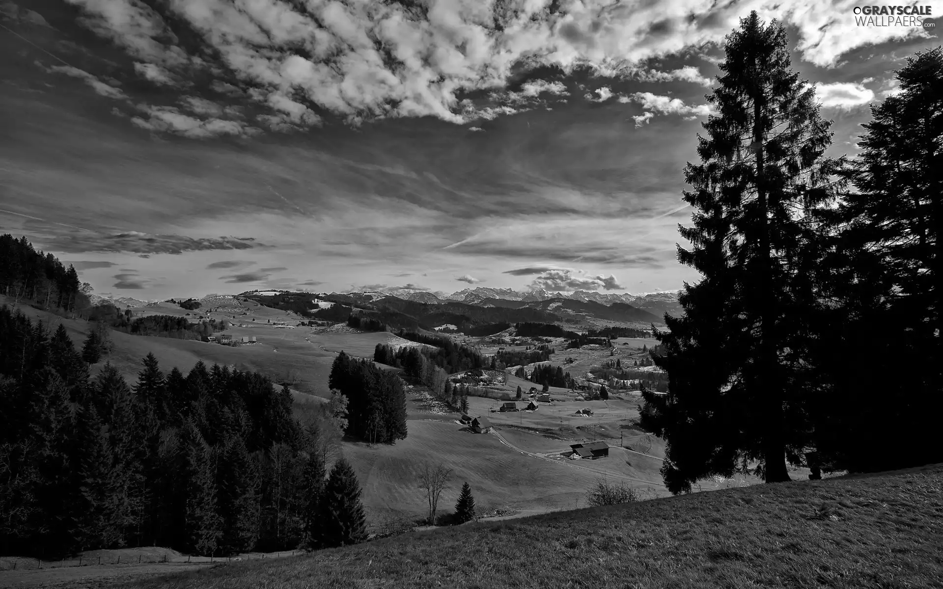 field, clouds, woods, Farms, Mountains