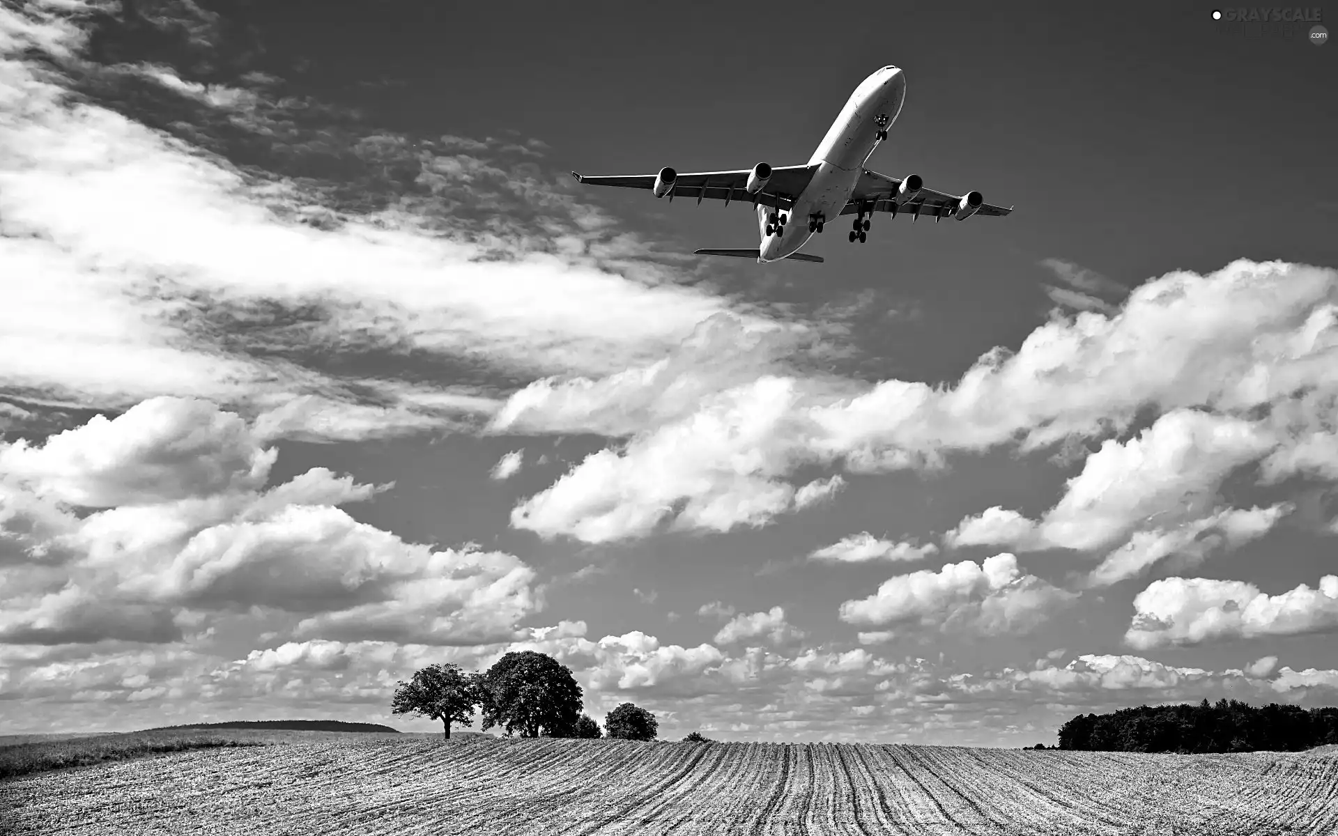 field, plane, clouds