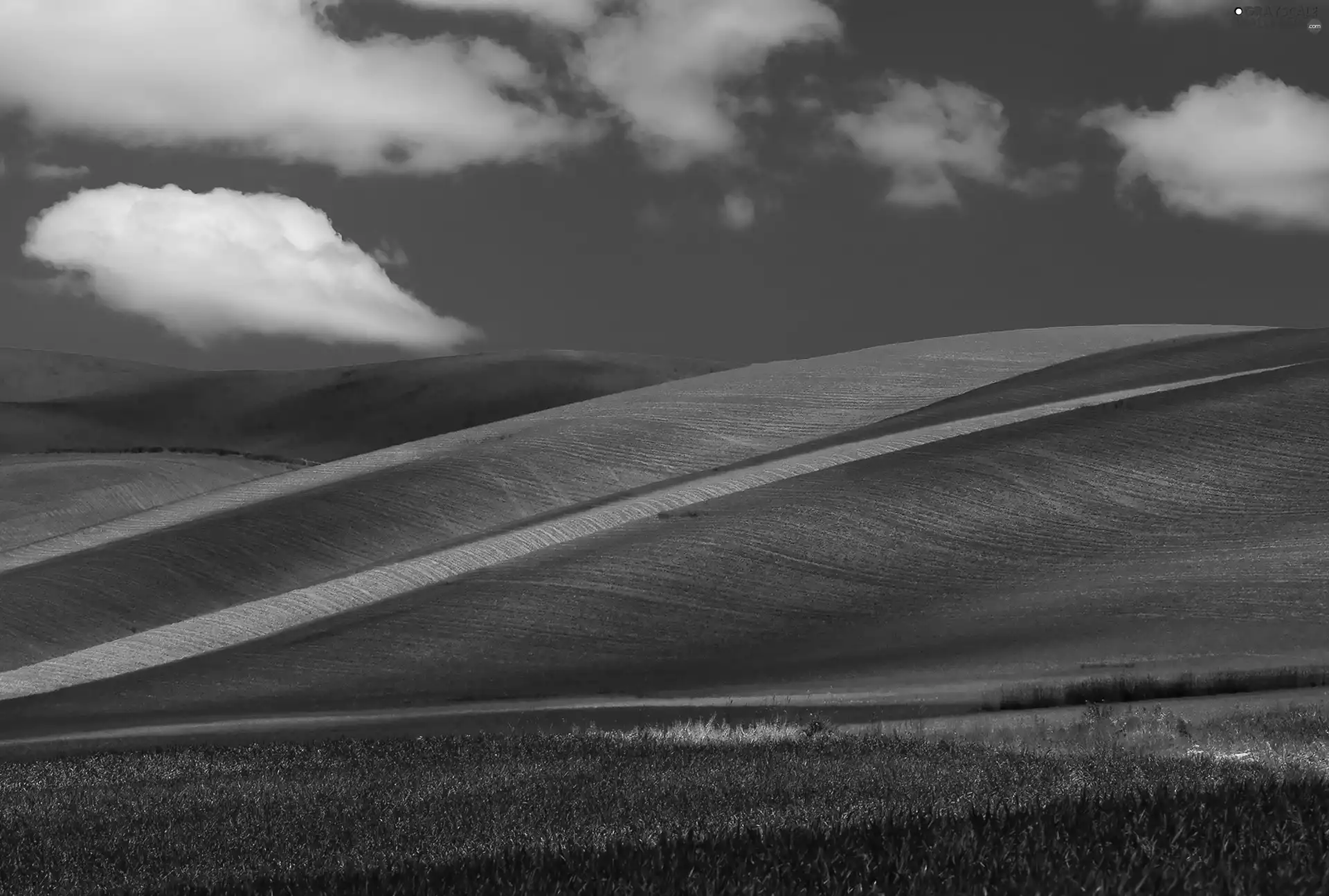 field, Sky, clouds