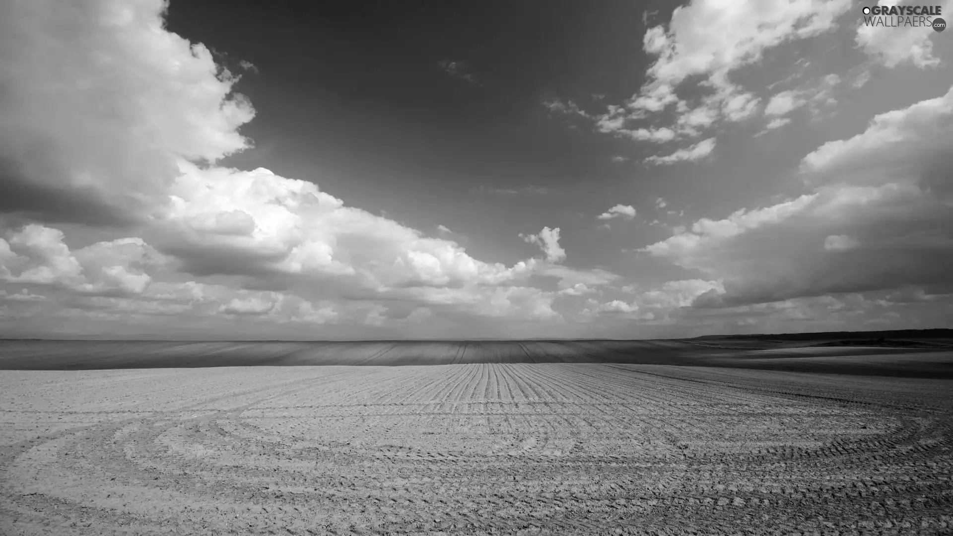 Field, Sky, clouds