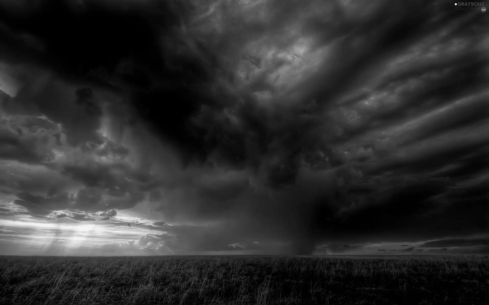 clouds, sun, Field, west