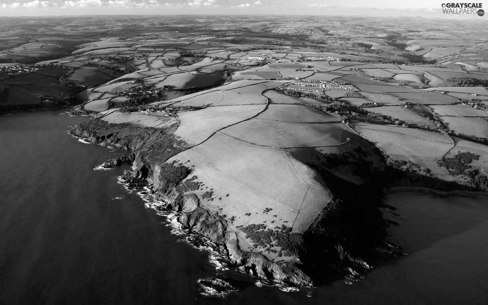 Coast, Cliffs, field, sea