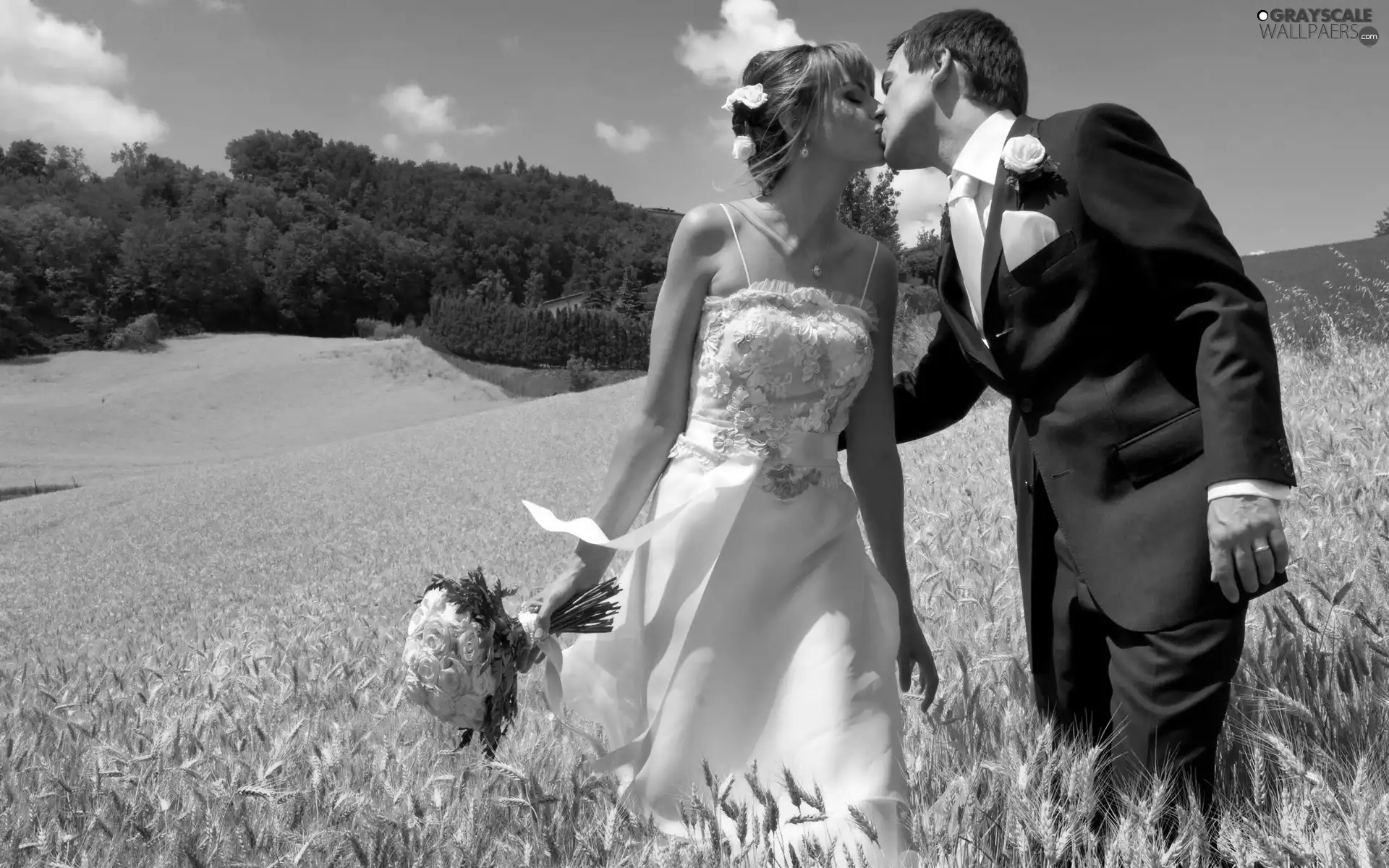 Field, corn, young, marriage, Steam