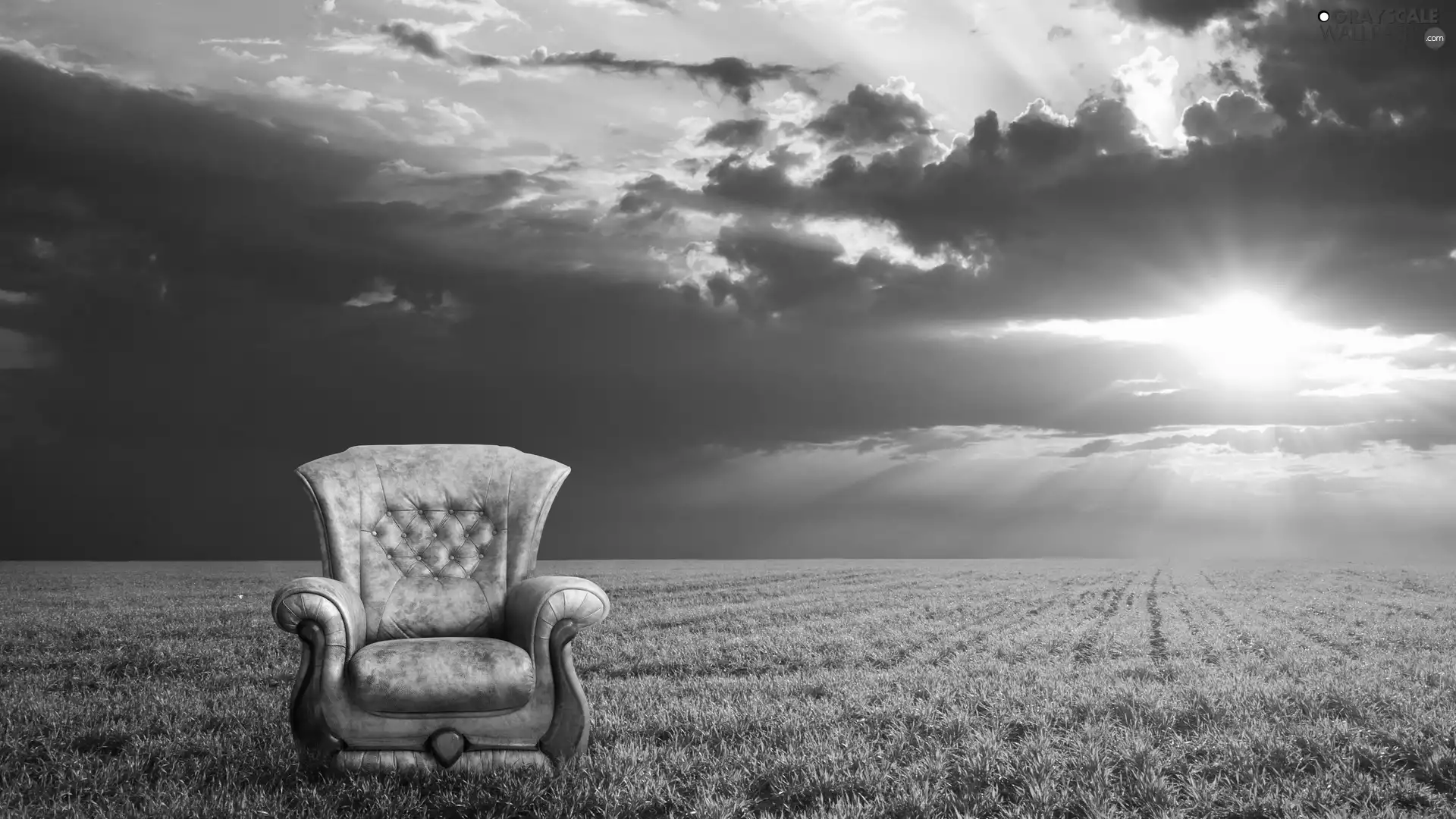 Armchair, Great Sunsets, Field