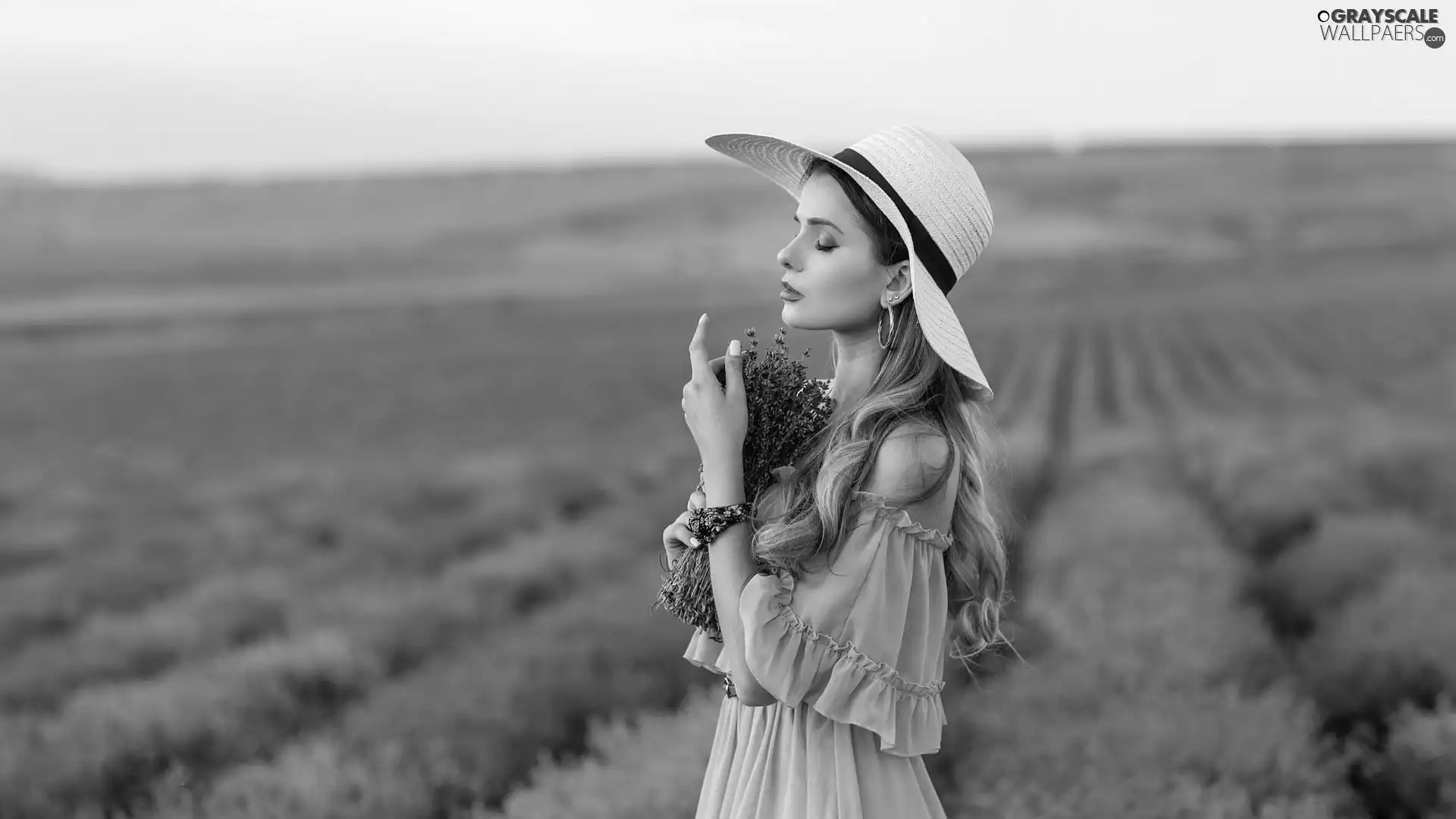 Pink, Women, lavender, Field, dress, Hat