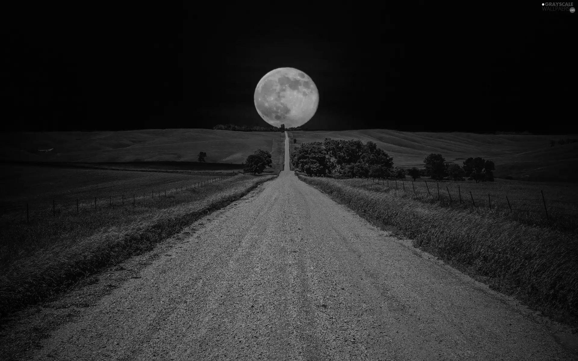 Field, Way, moon