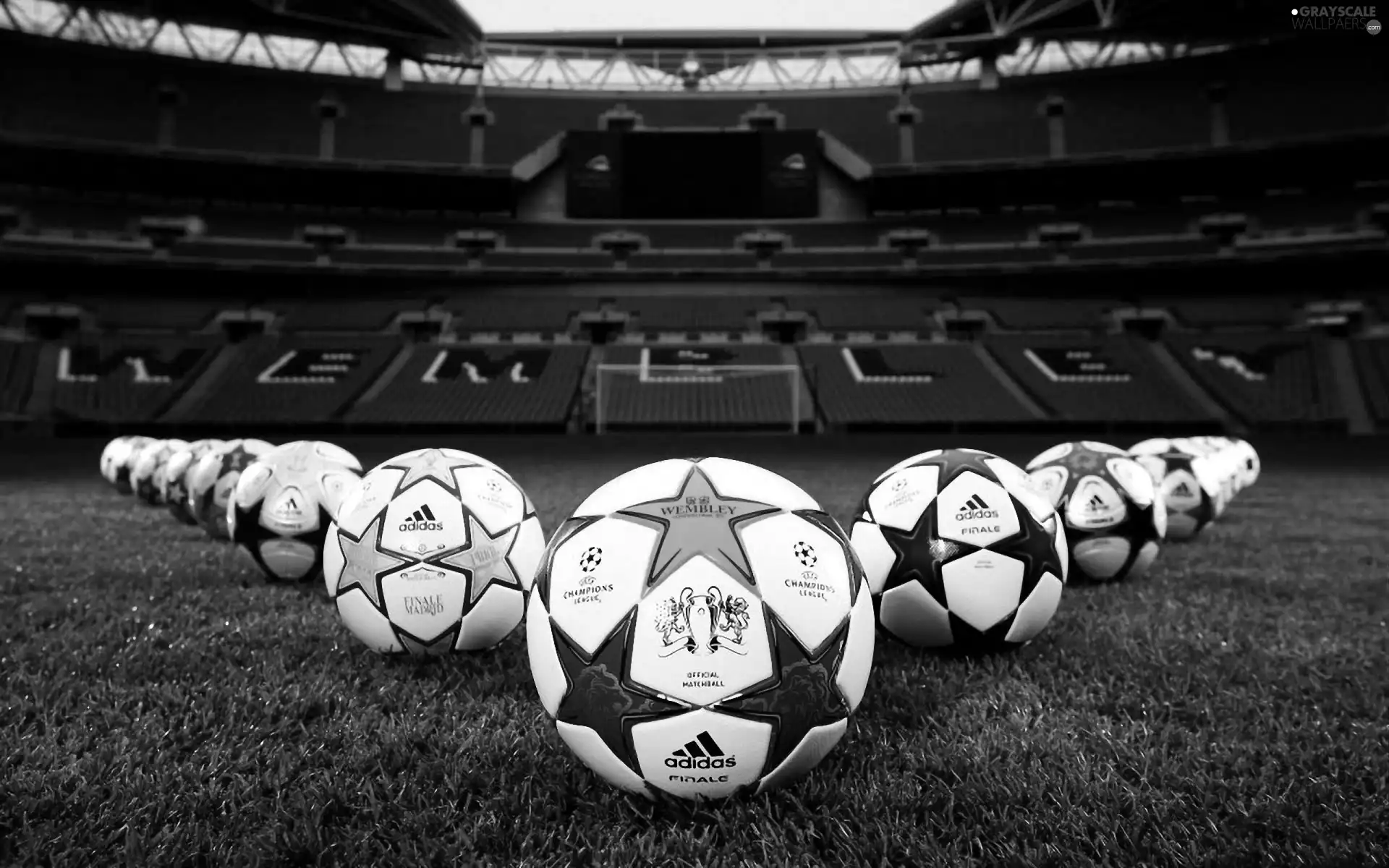 Champions, Balls, Playing Field, grass, Stadium, league